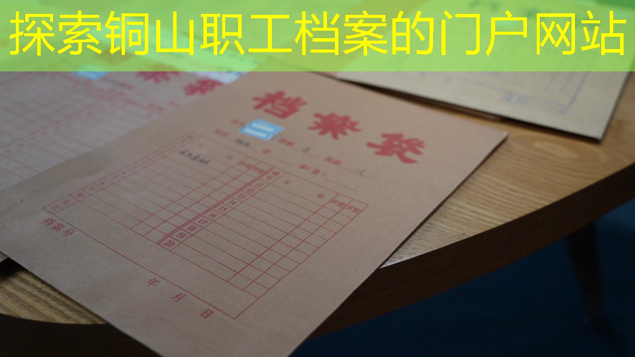 档案查询