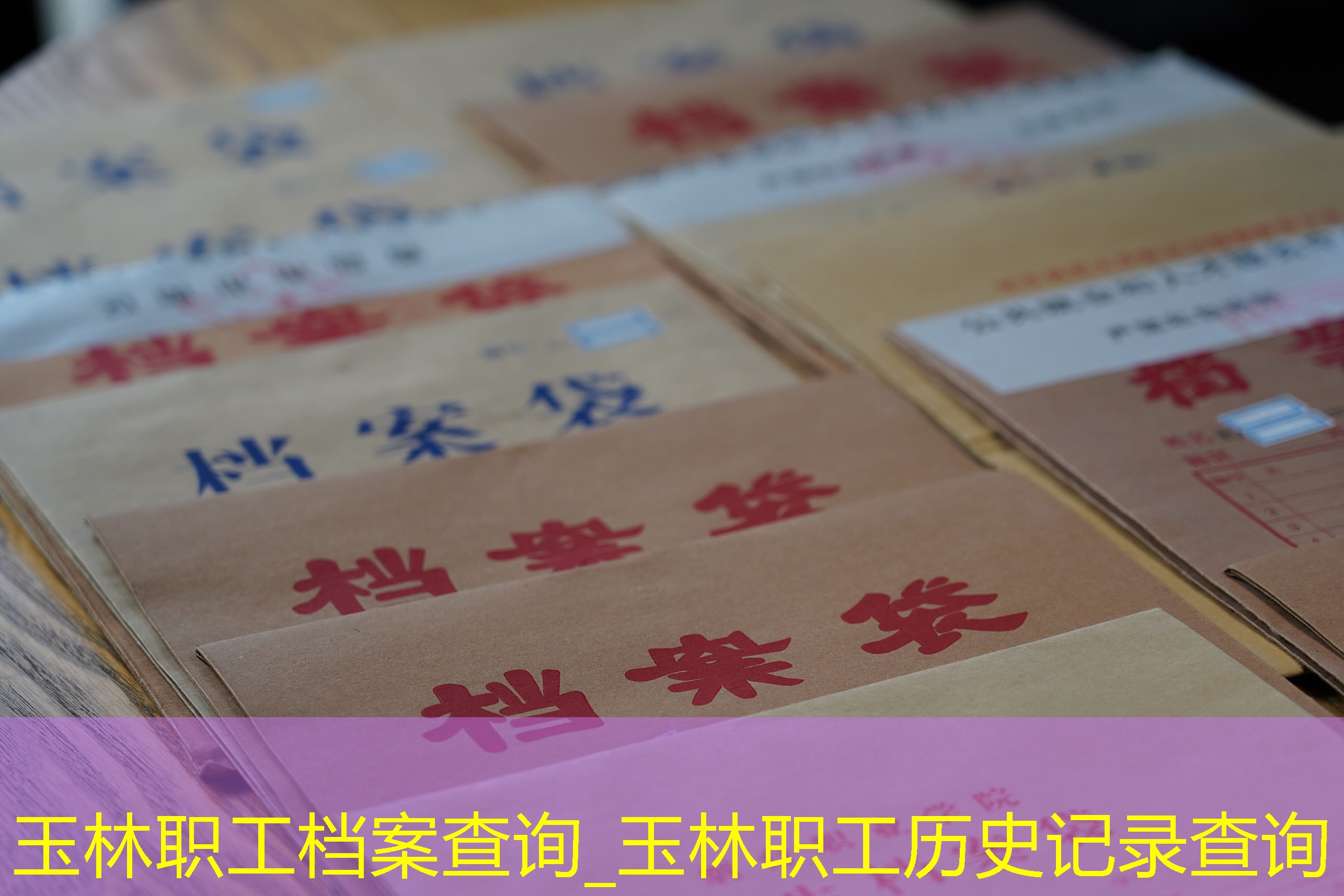 档案查询