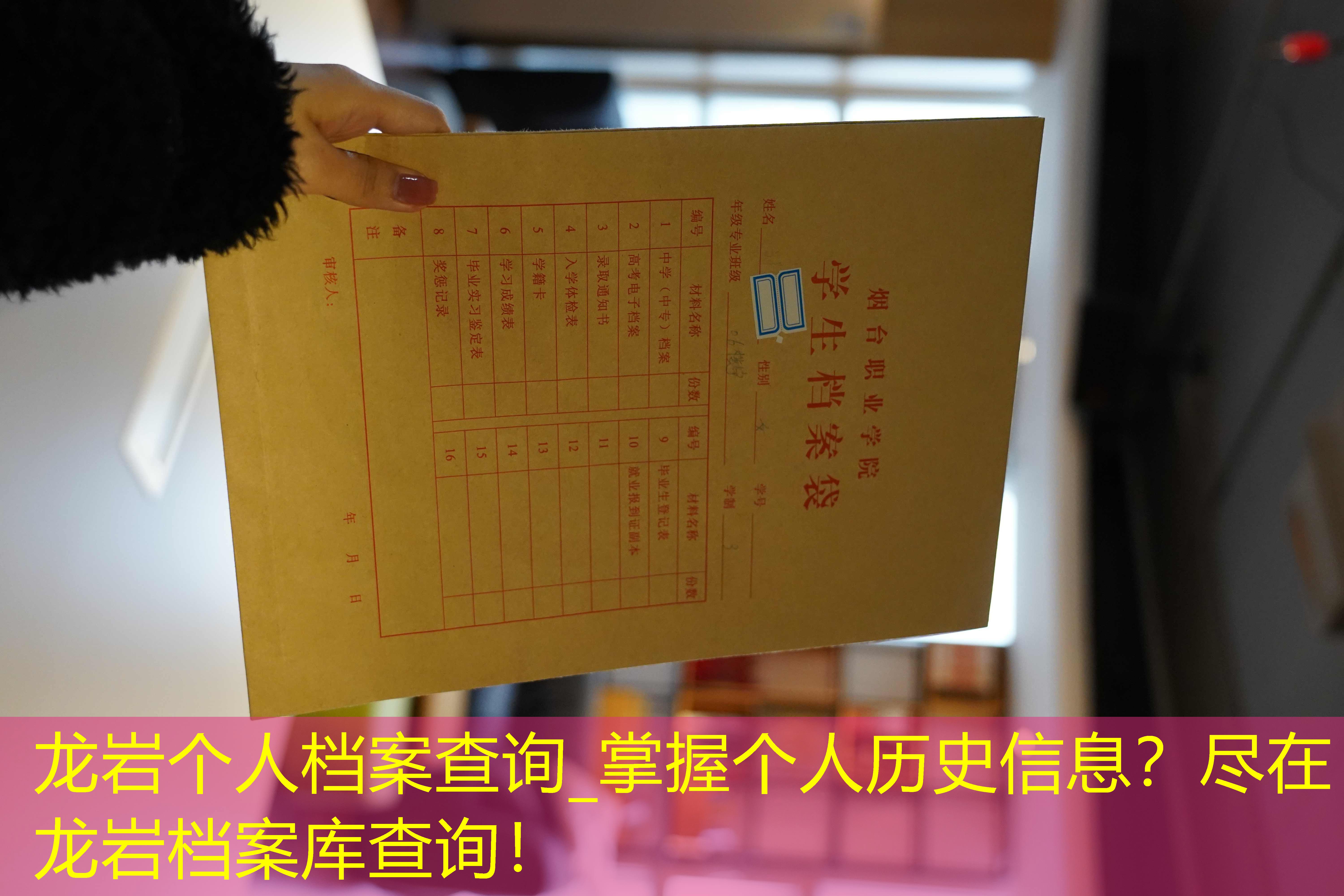 档案查询