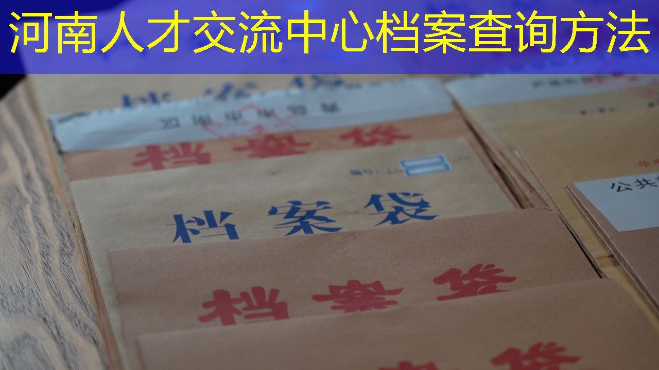 档案查询