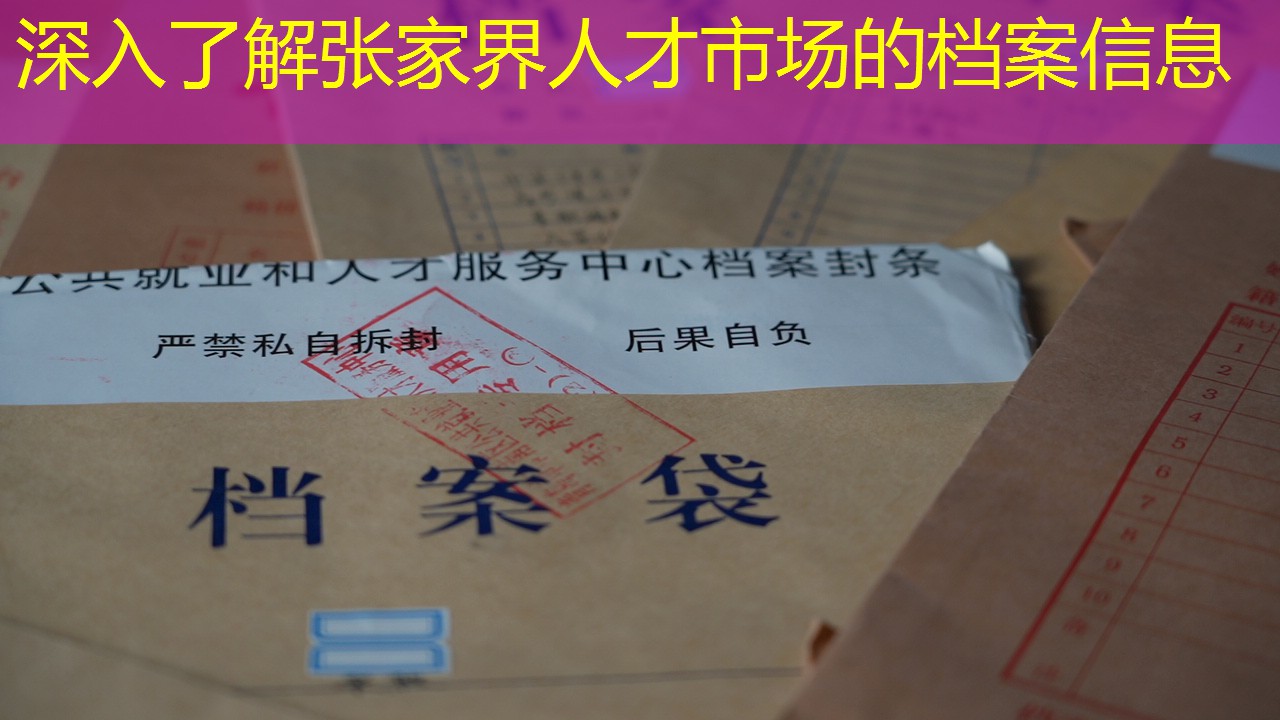 档案查询
