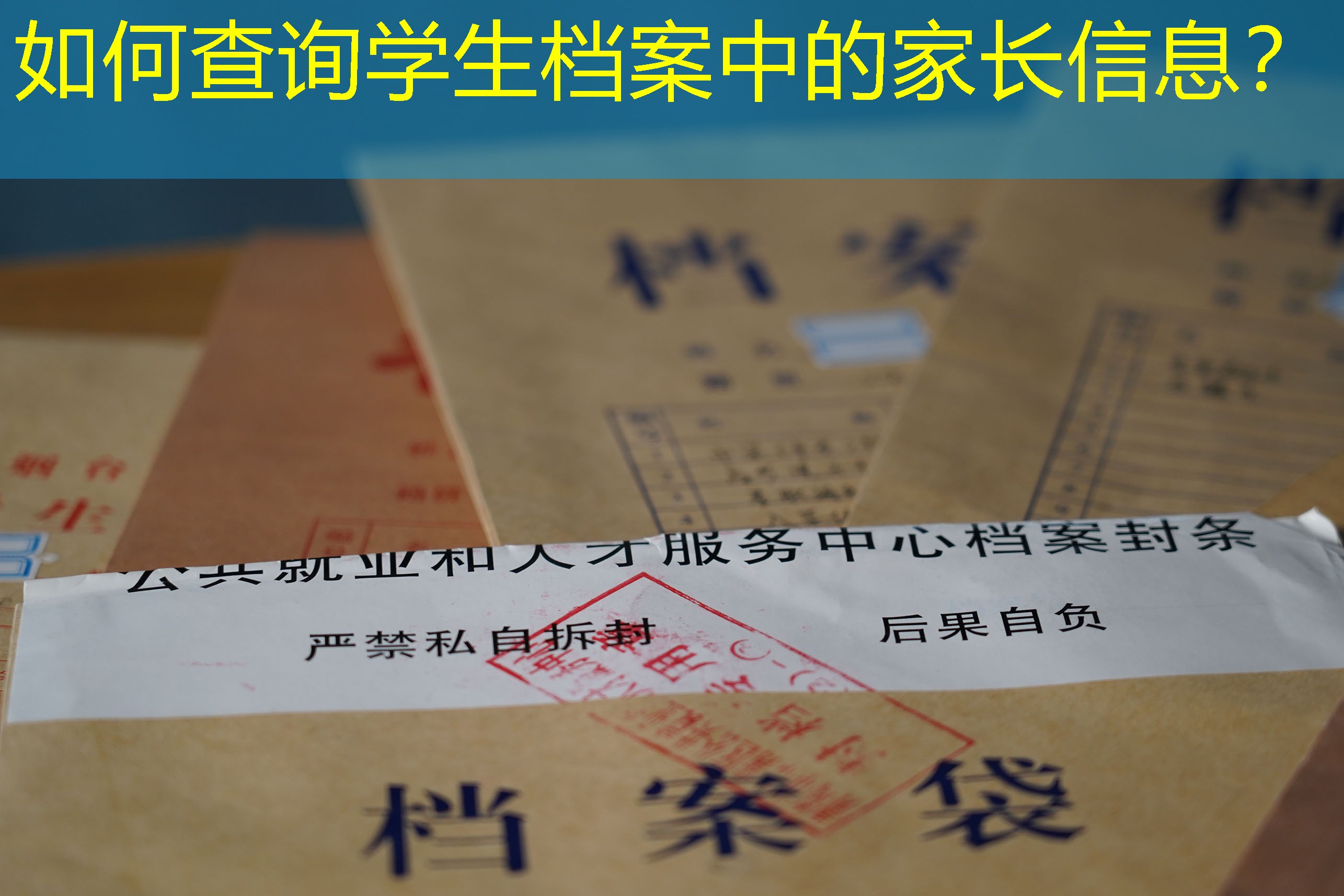 档案查询