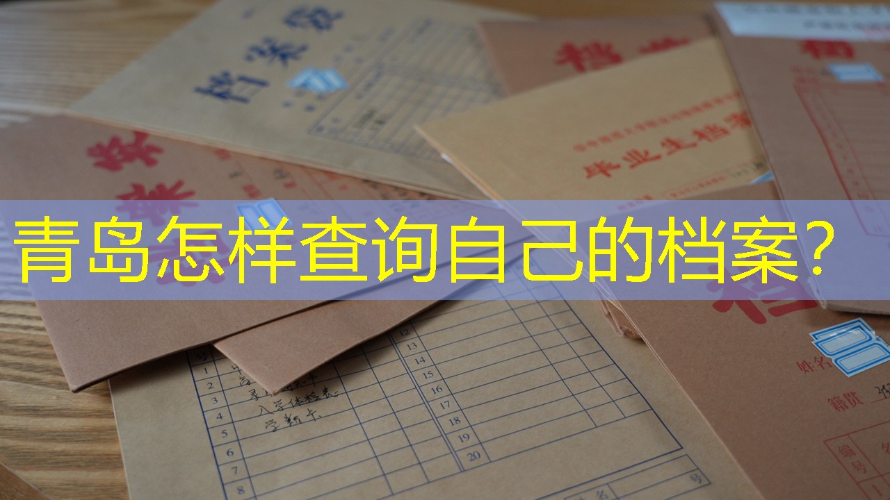 档案查询