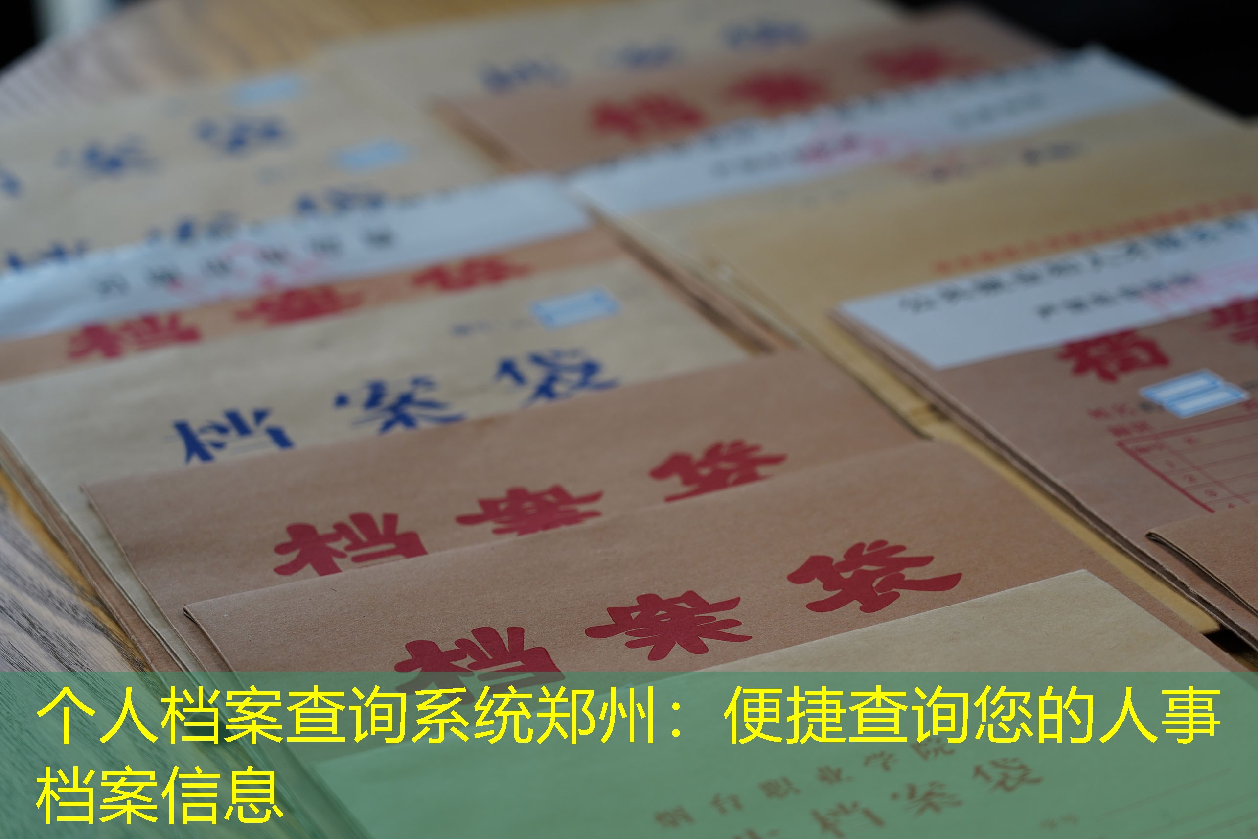 档案查询