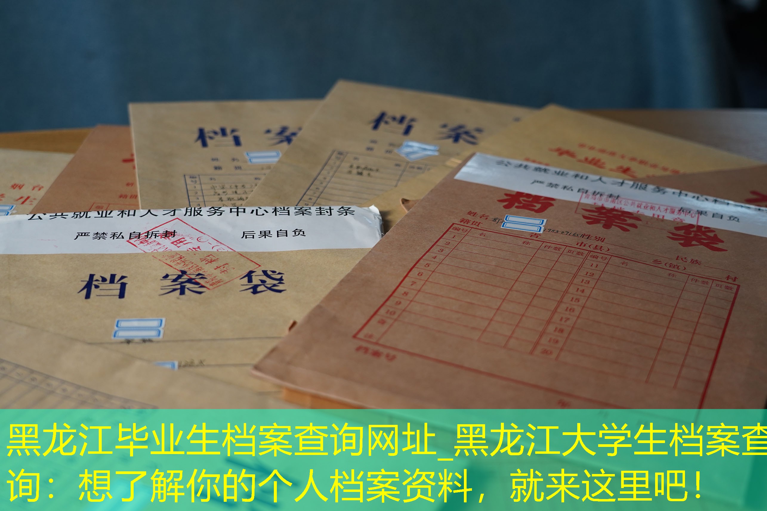 档案查询
