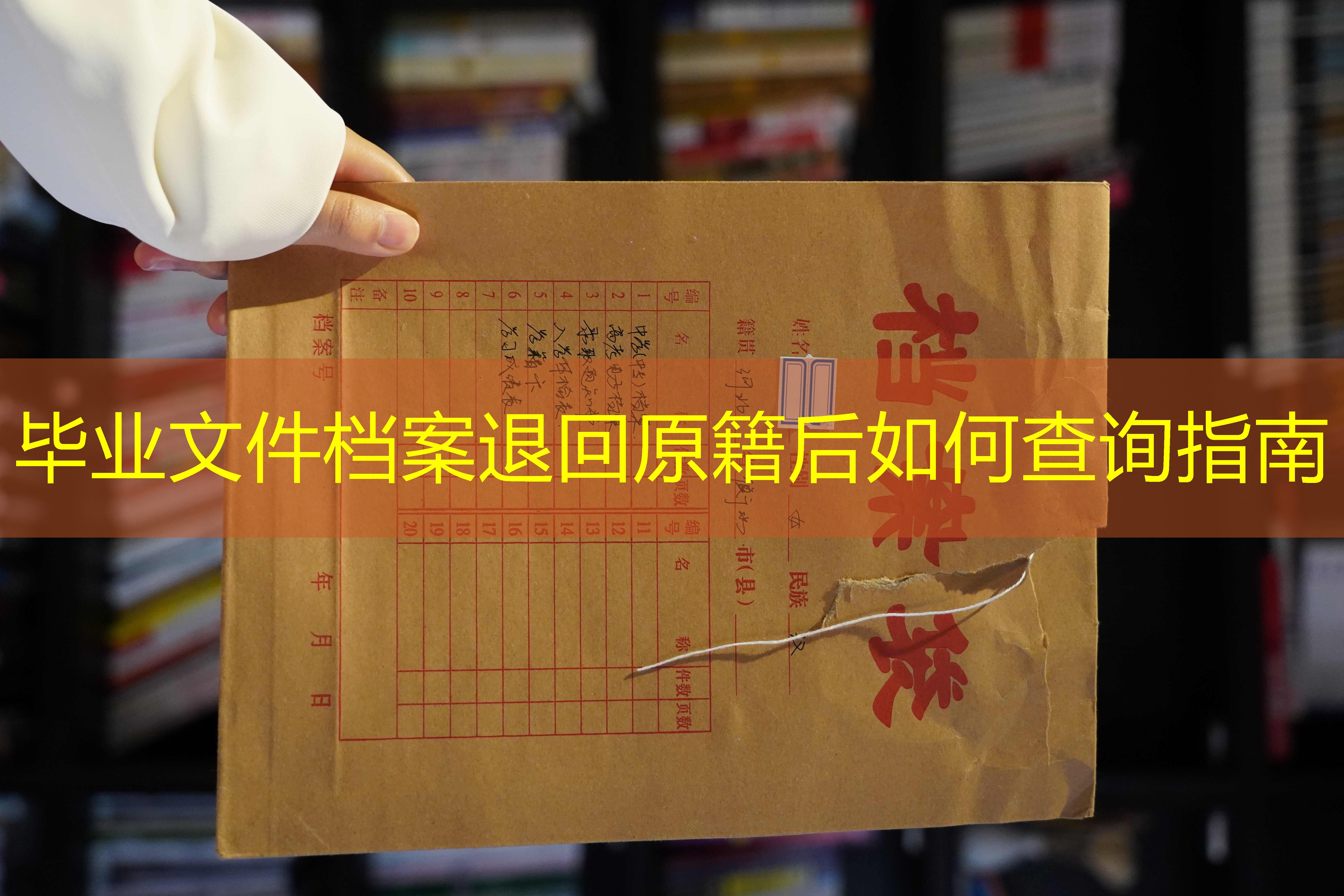 档案查询