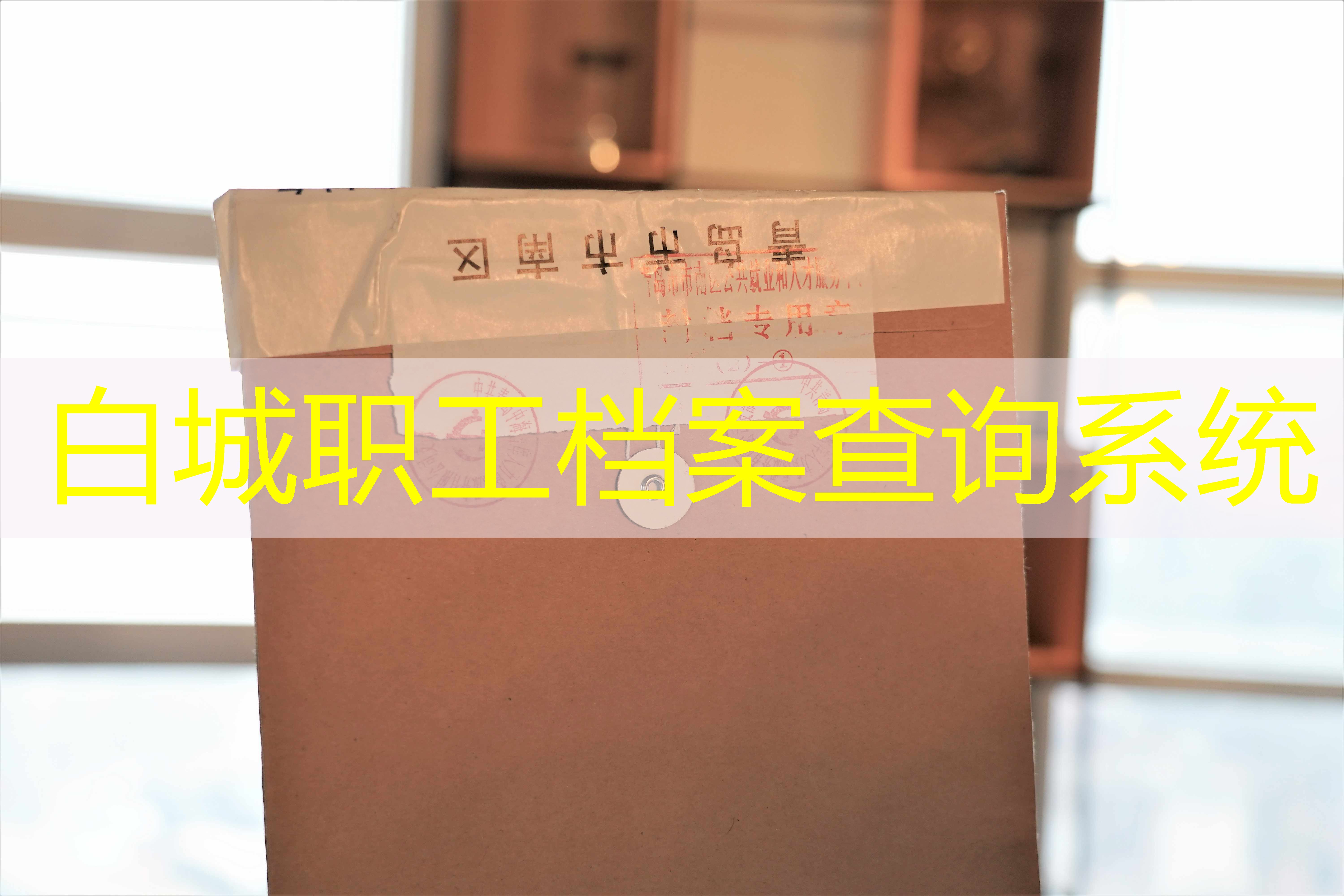 档案查询