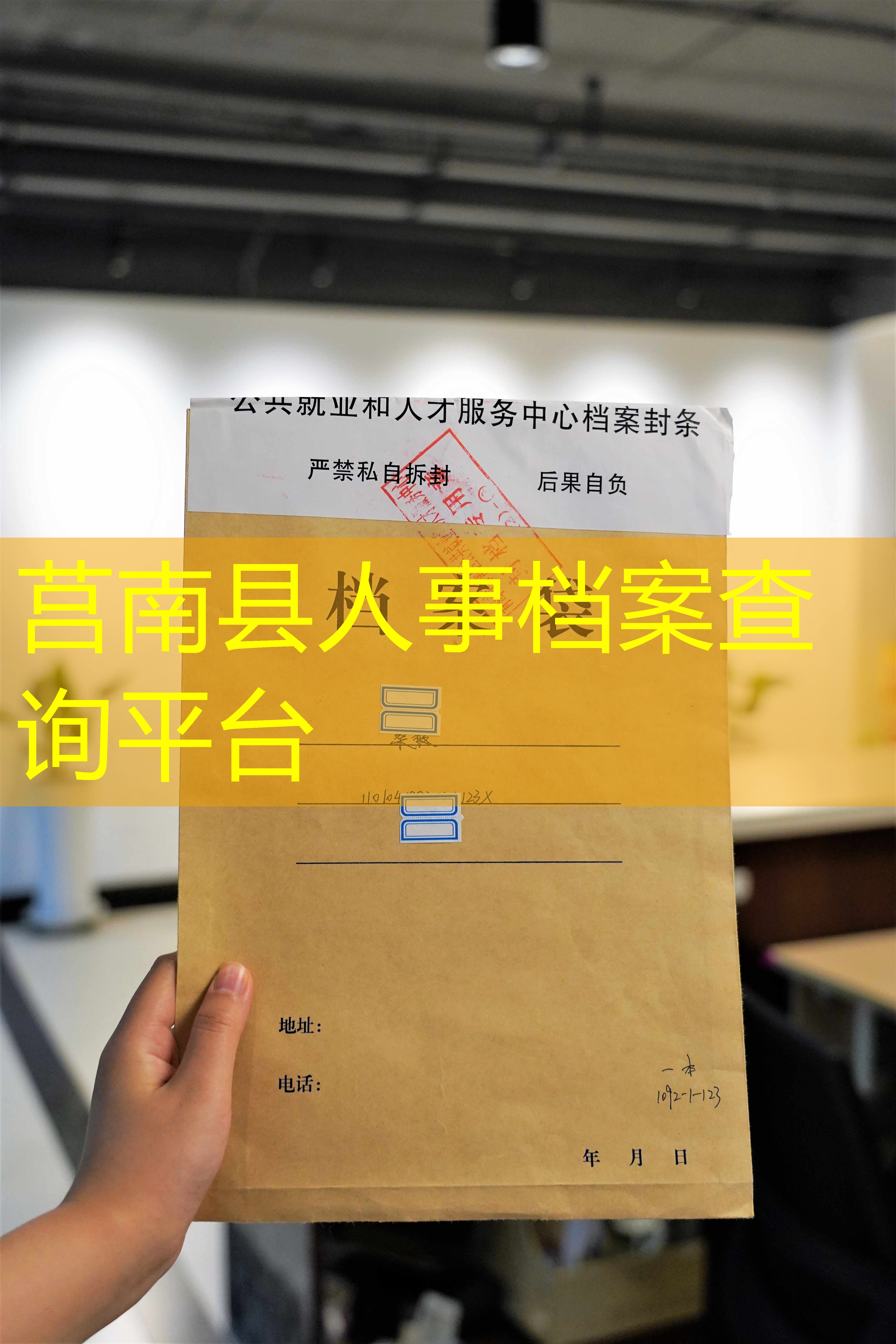 档案查询