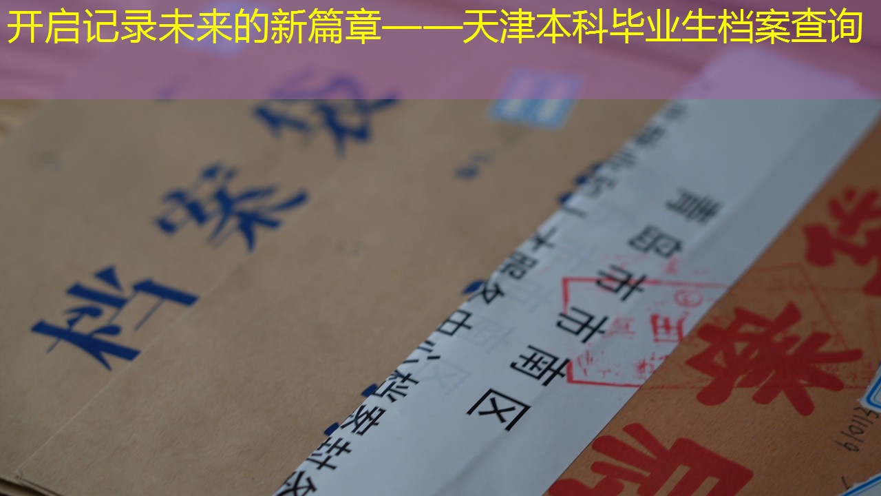 档案查询