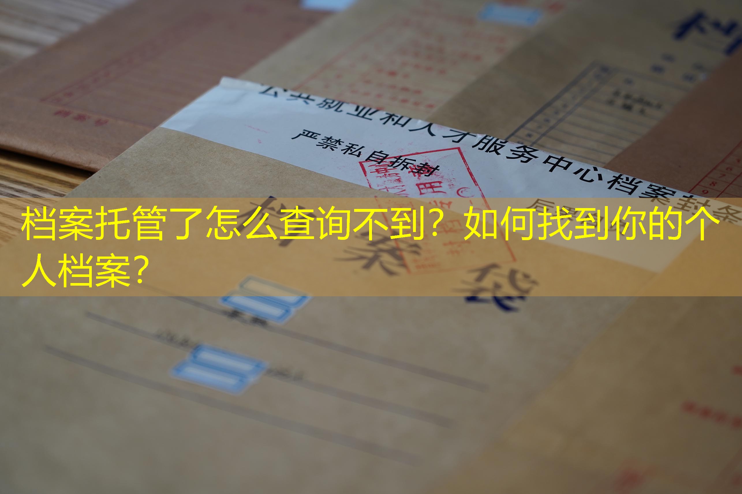 档案查询