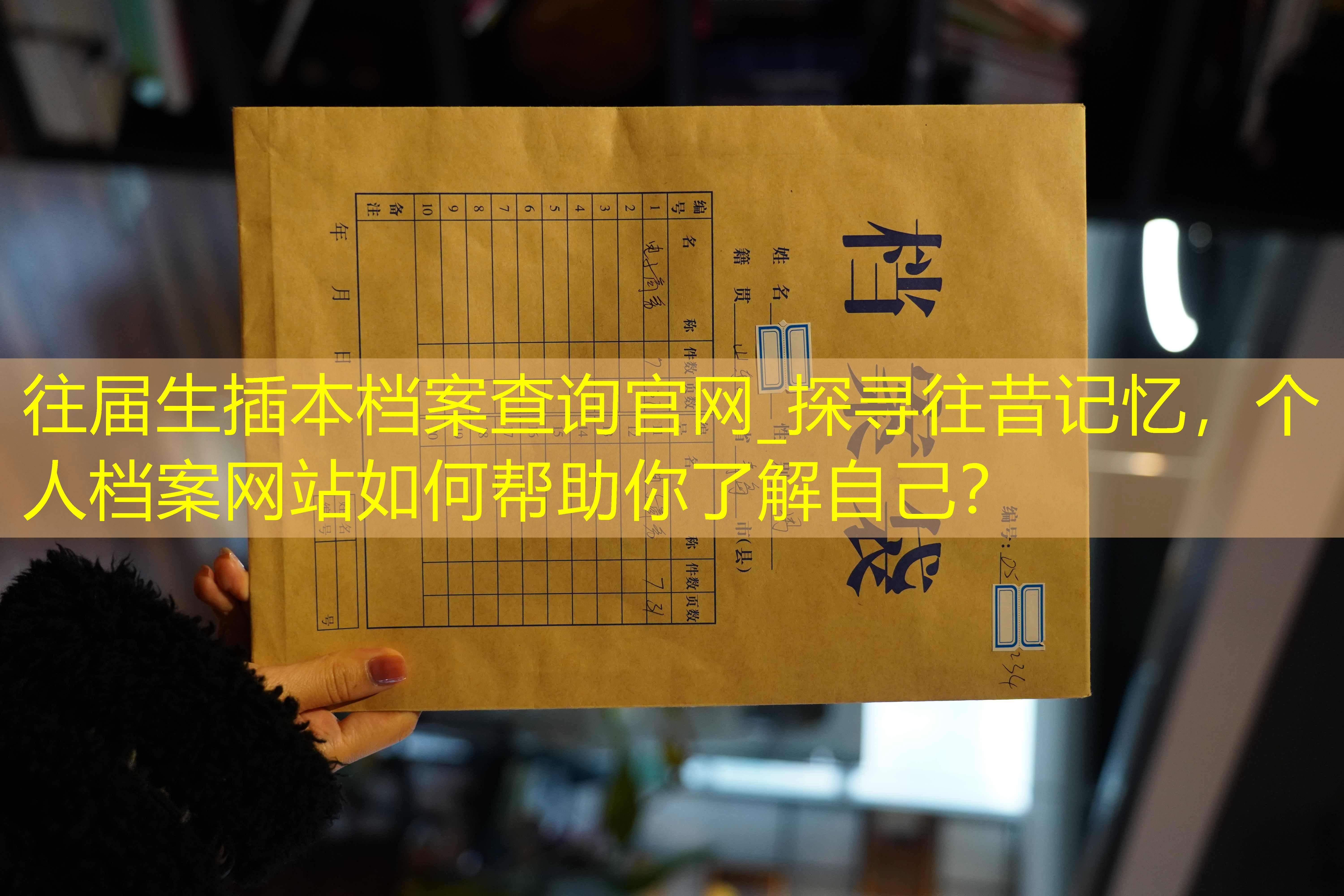 档案查询
