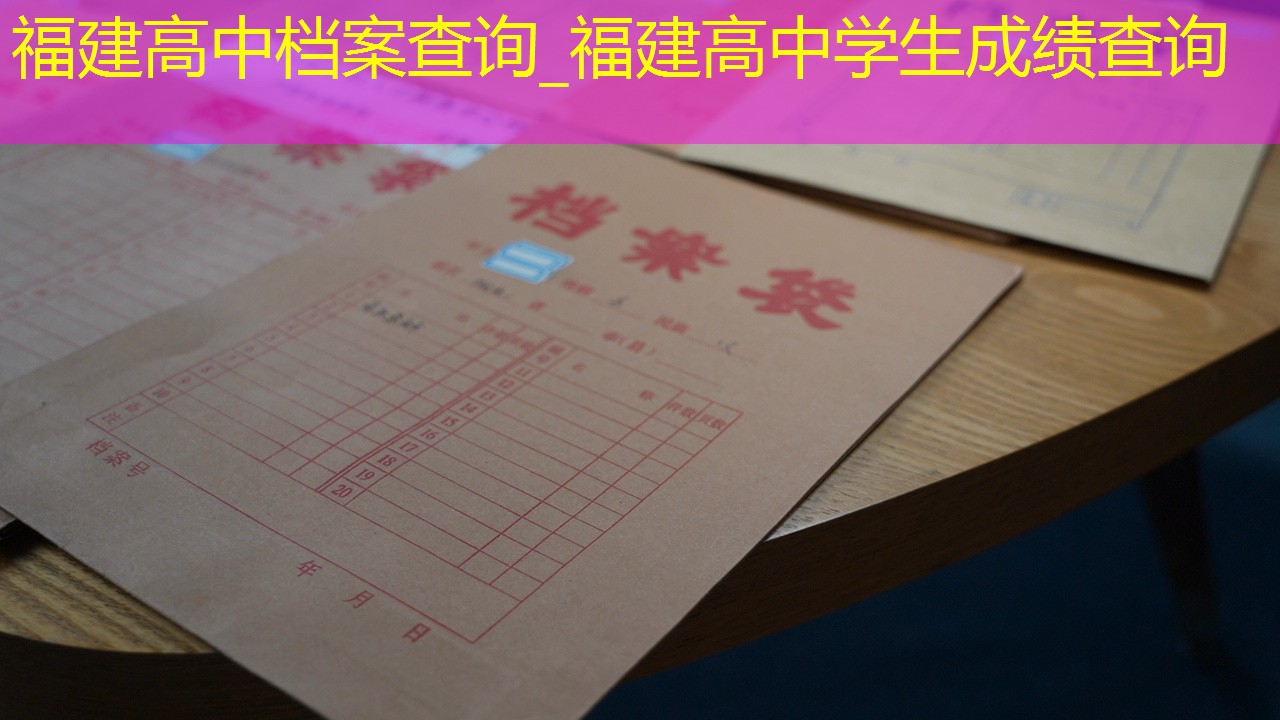 档案查询