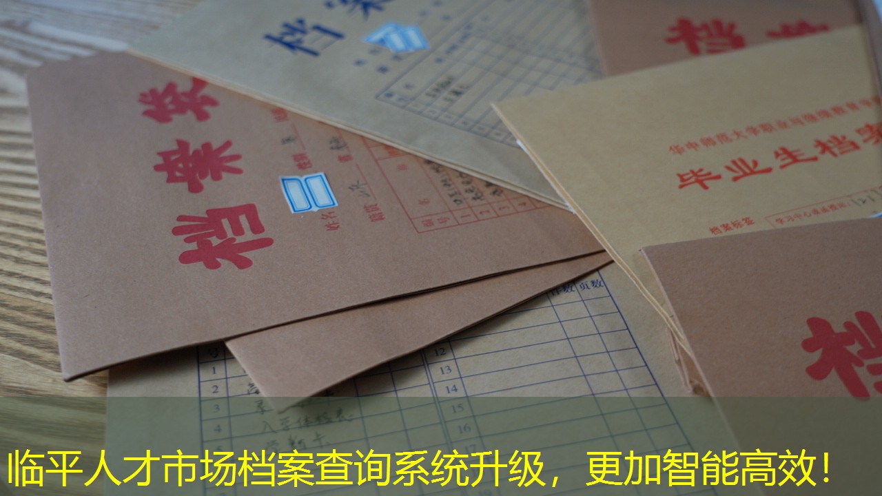 档案查询