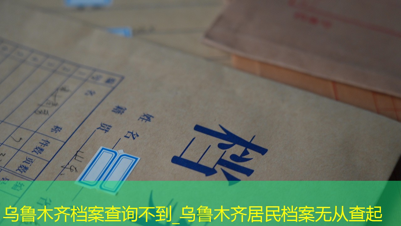 档案查询