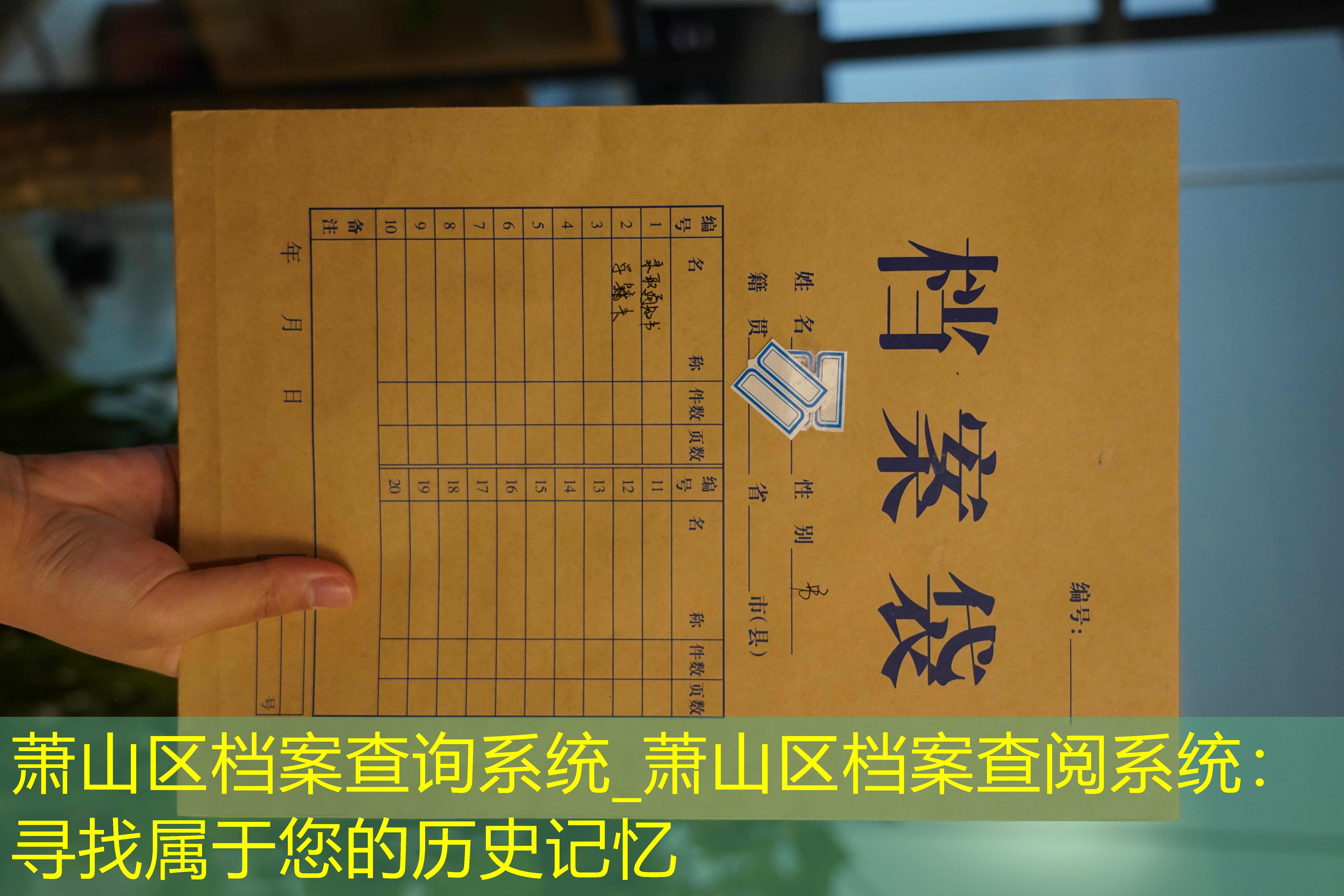 档案查询