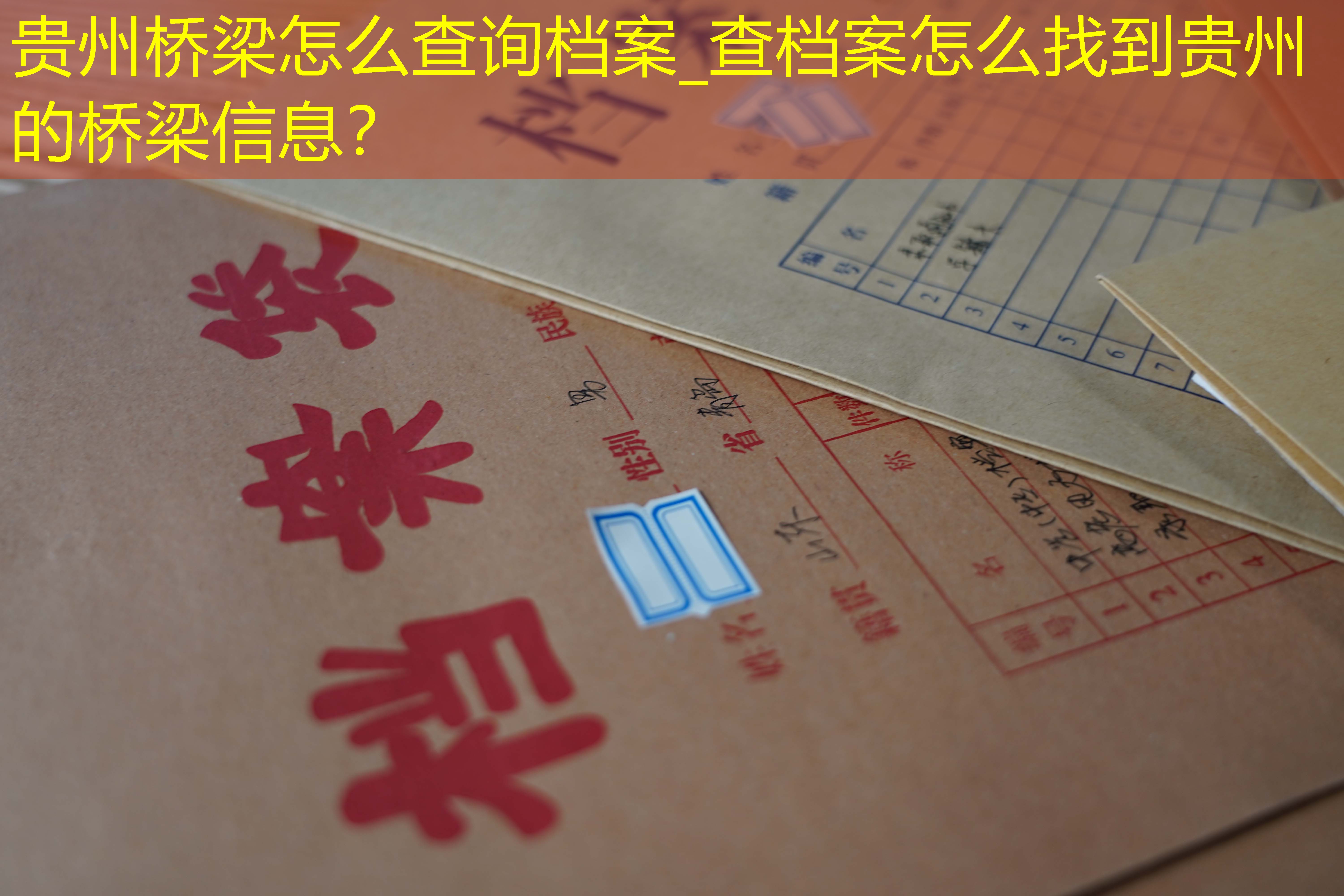 档案查询