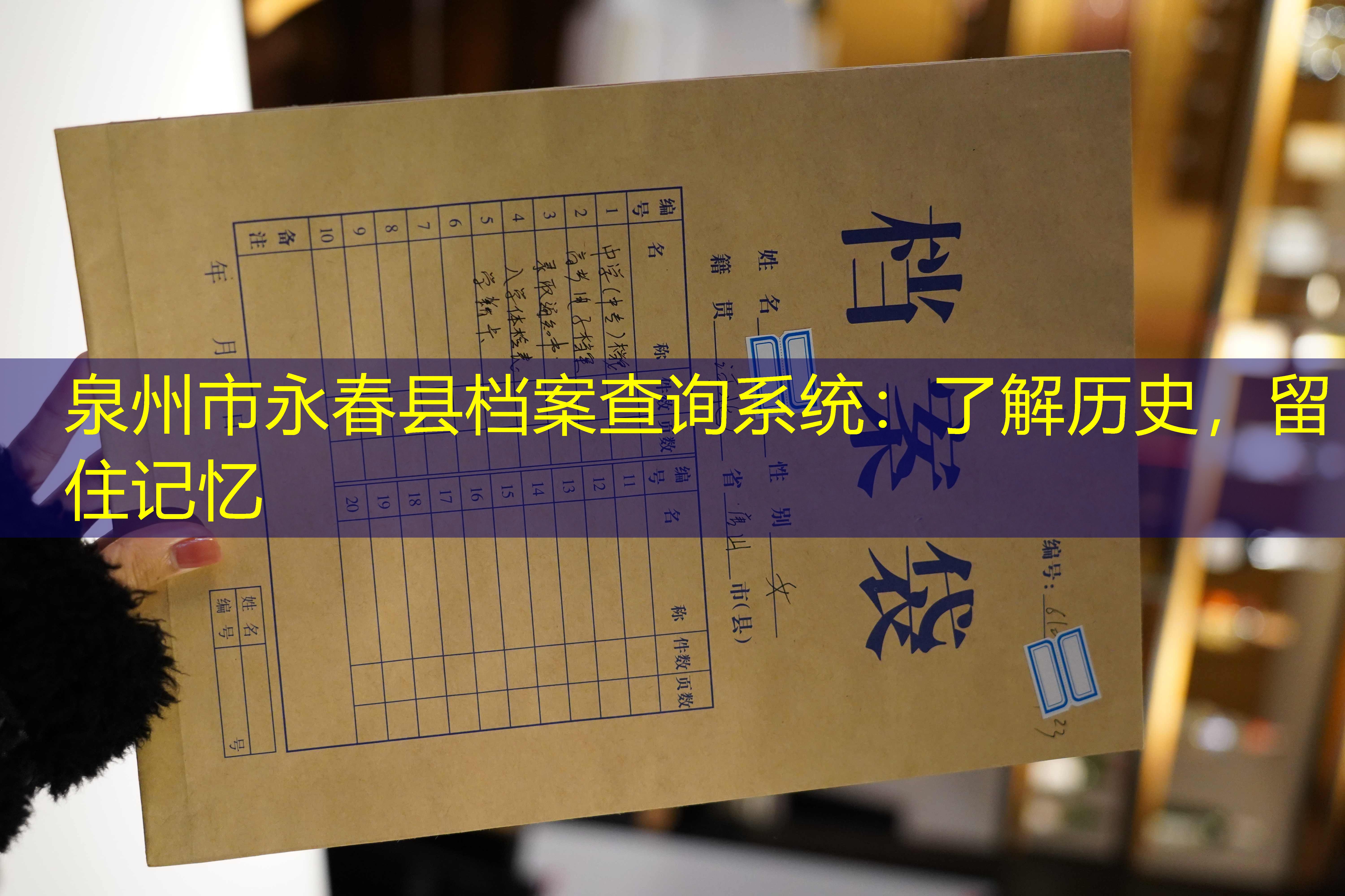 档案查询