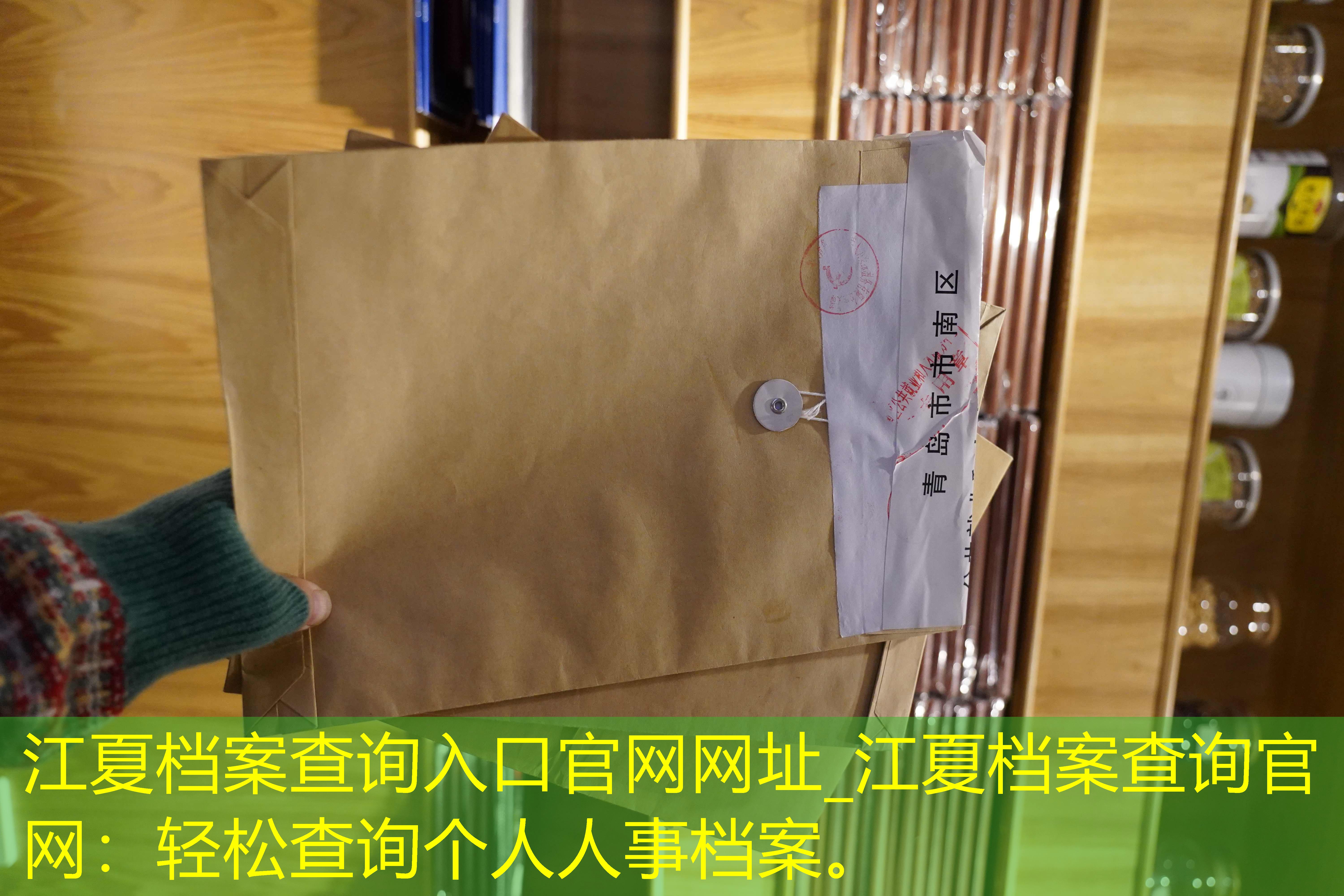 档案查询