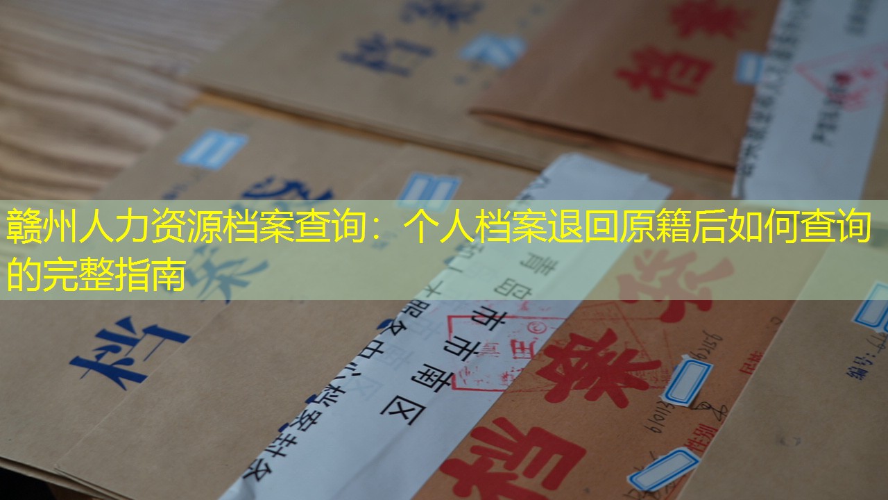 档案查询