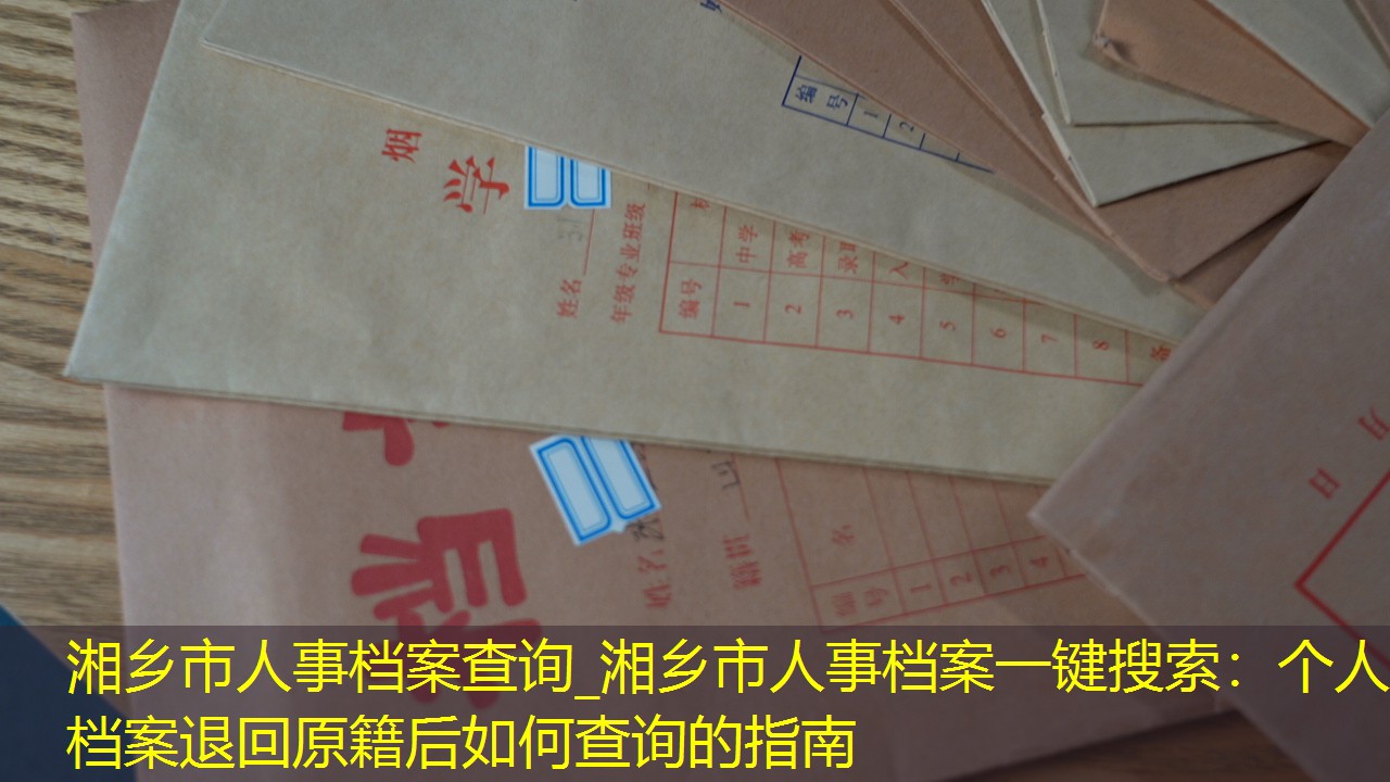 档案查询