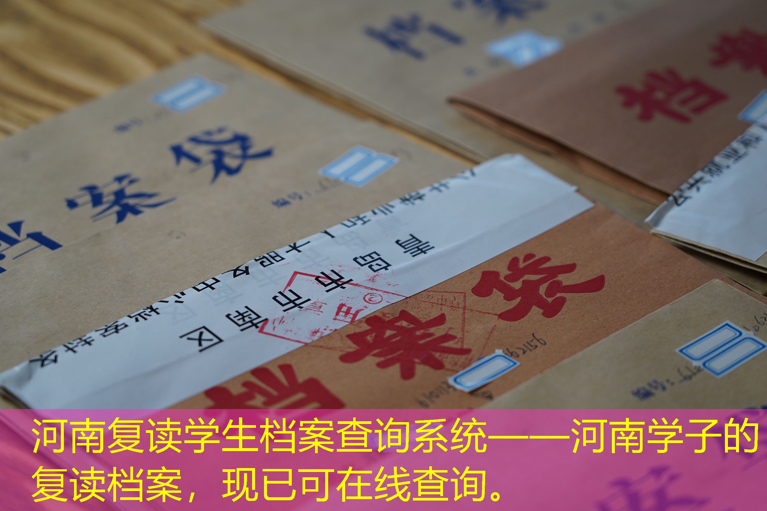 档案查询