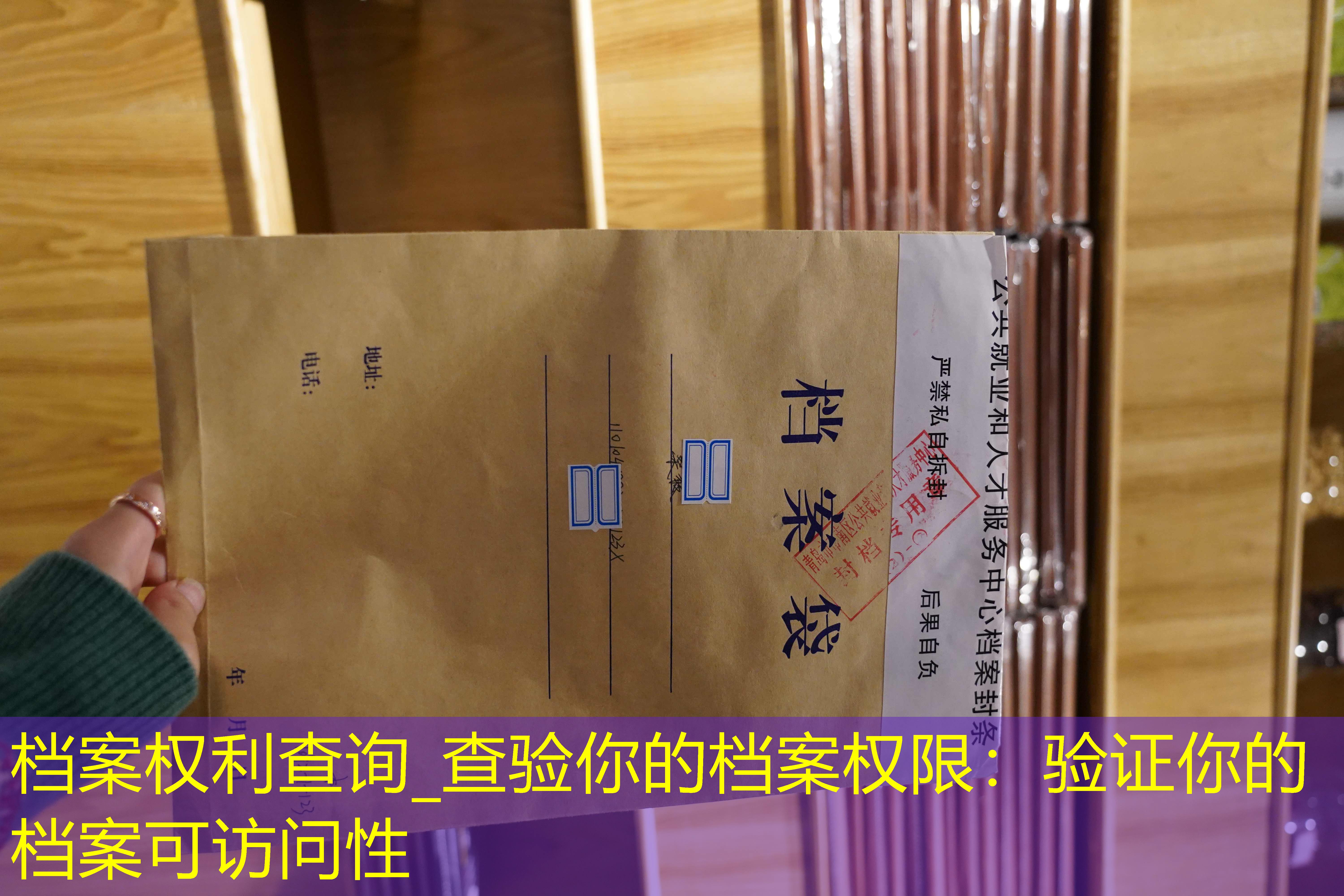 档案查询