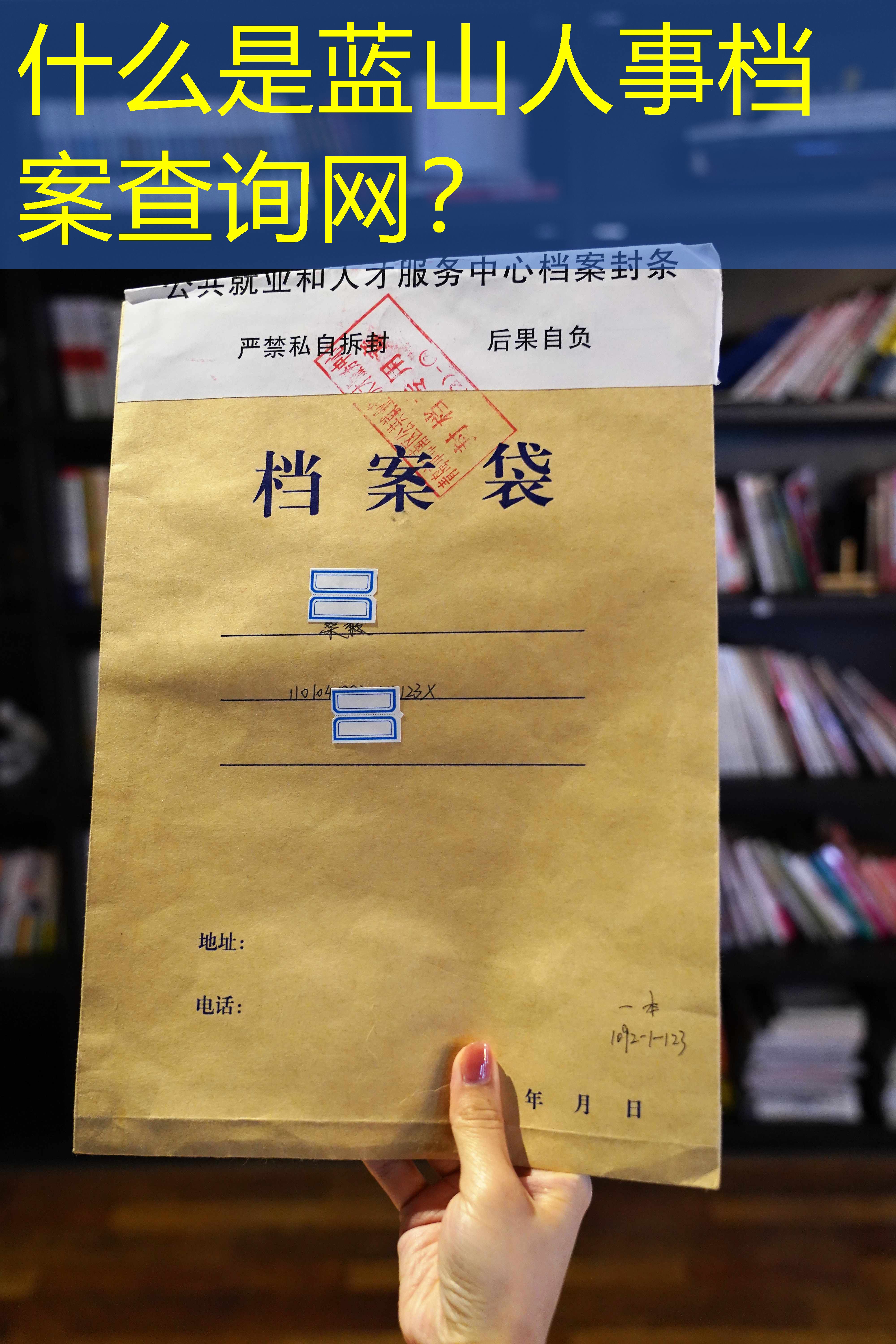 档案查询