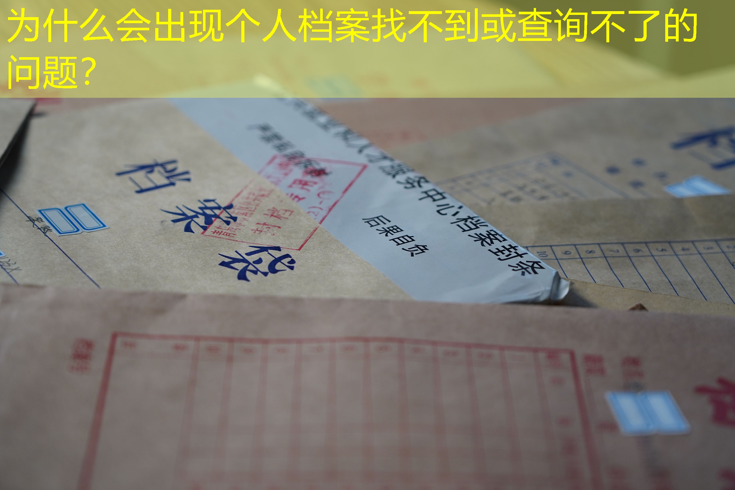 档案查询