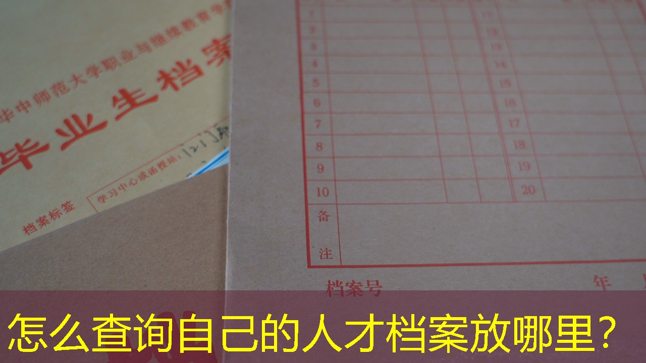 档案查询
