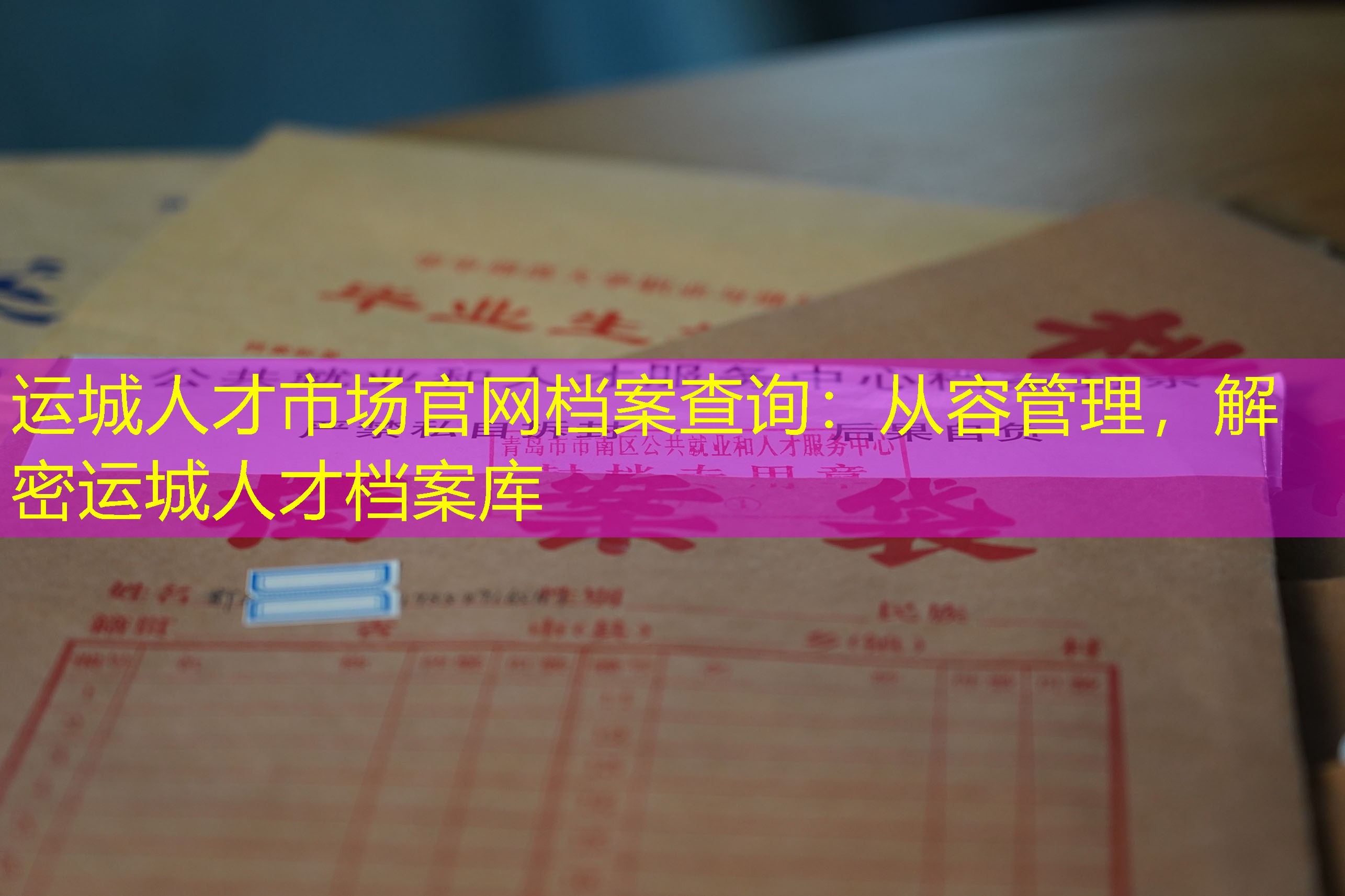 档案查询