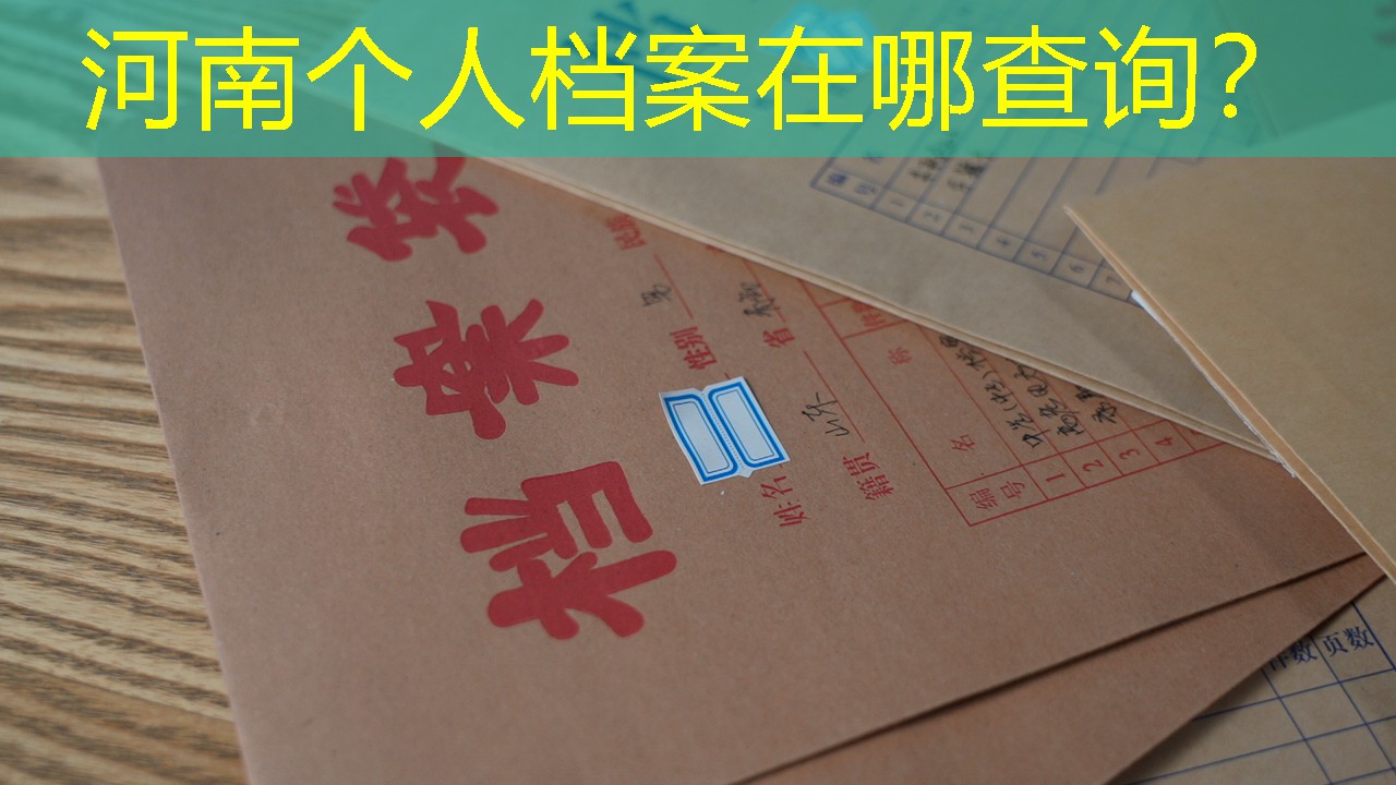 档案查询
