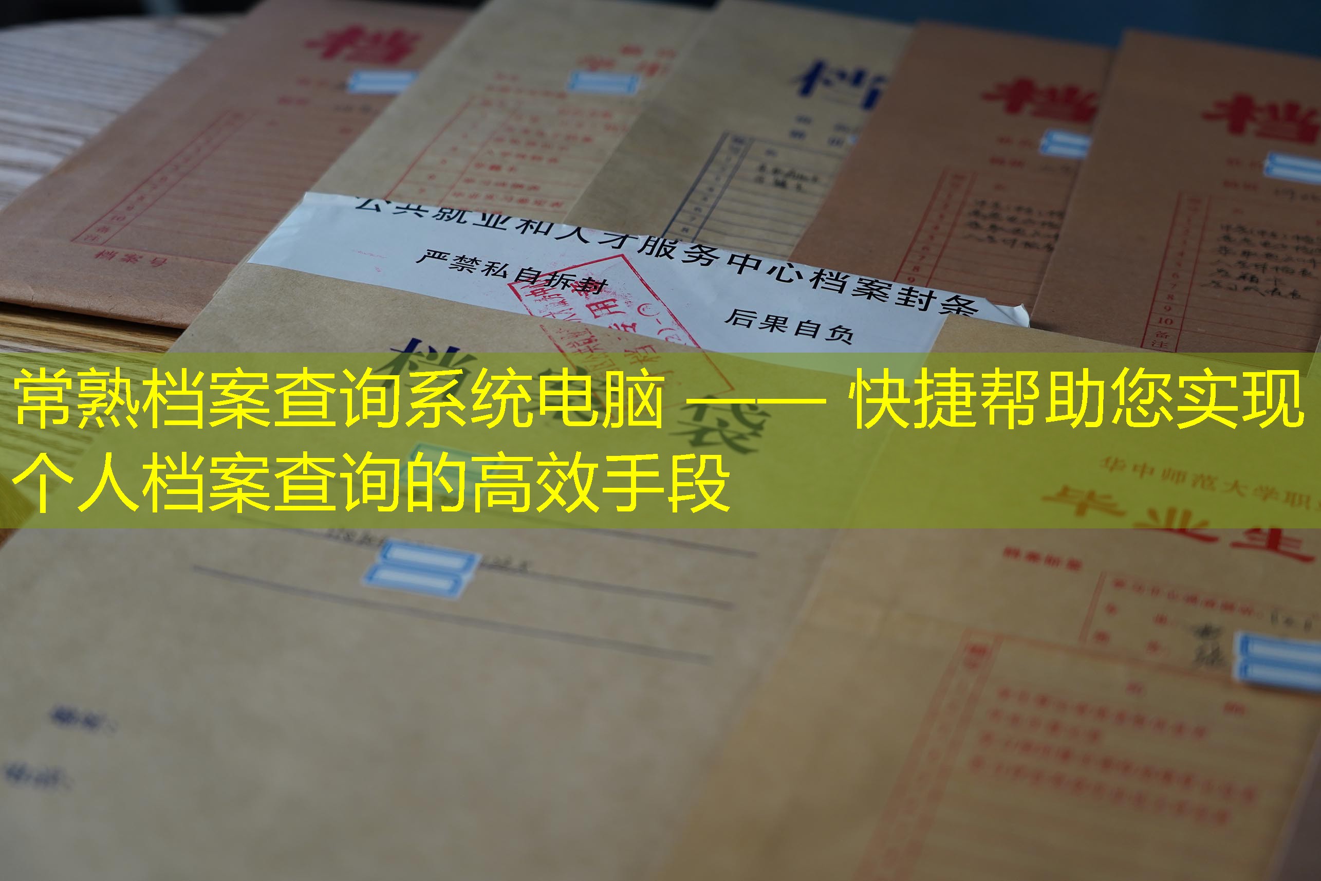 档案查询