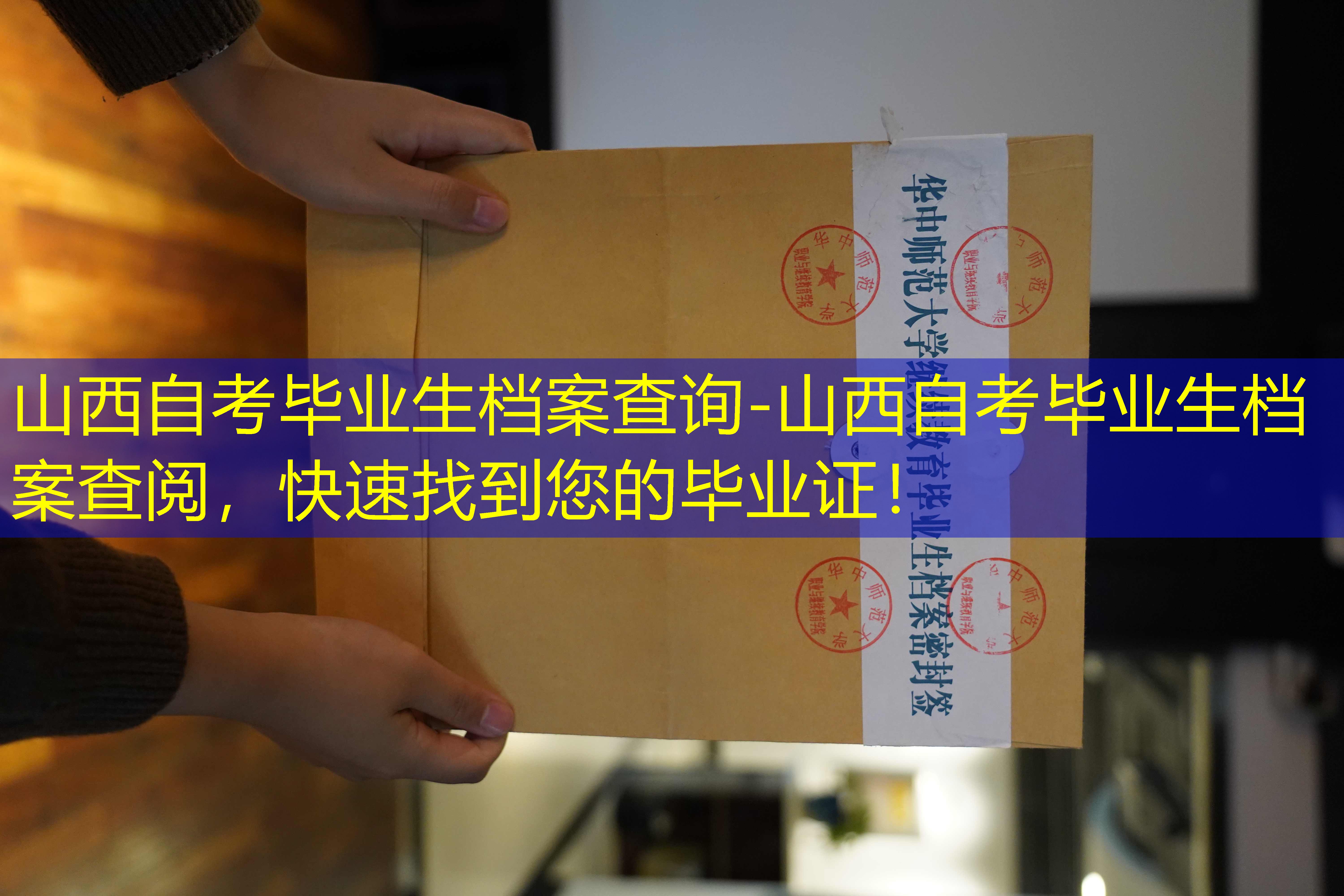 档案查询