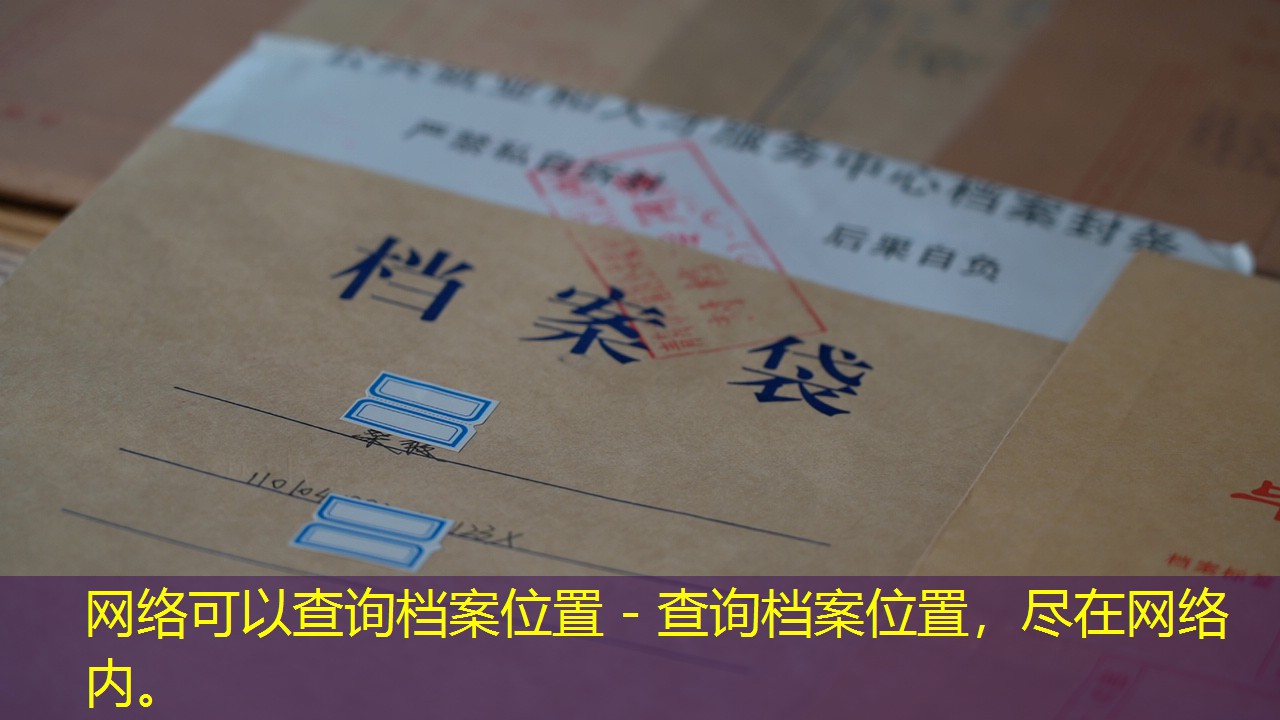 档案查询