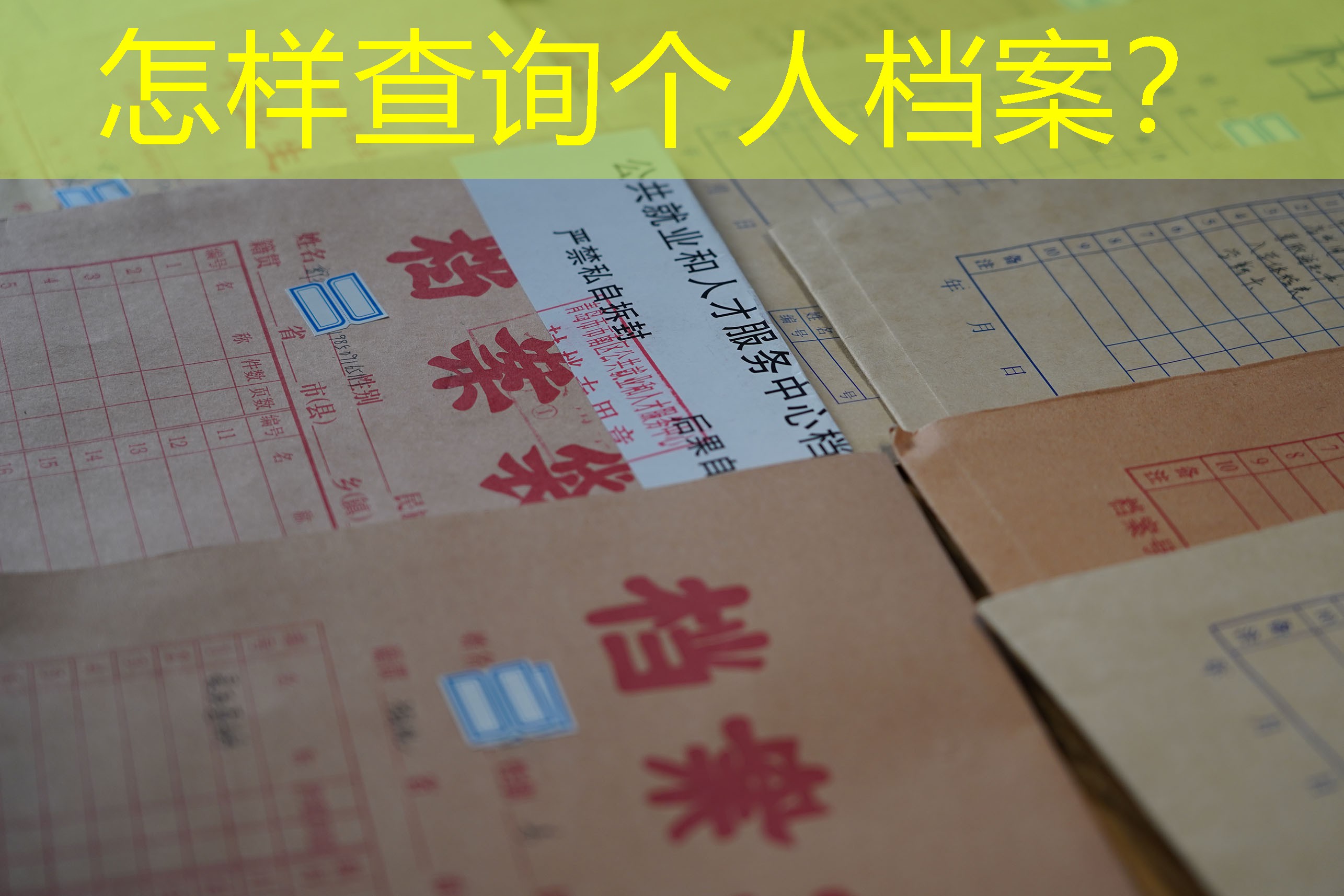 档案查询