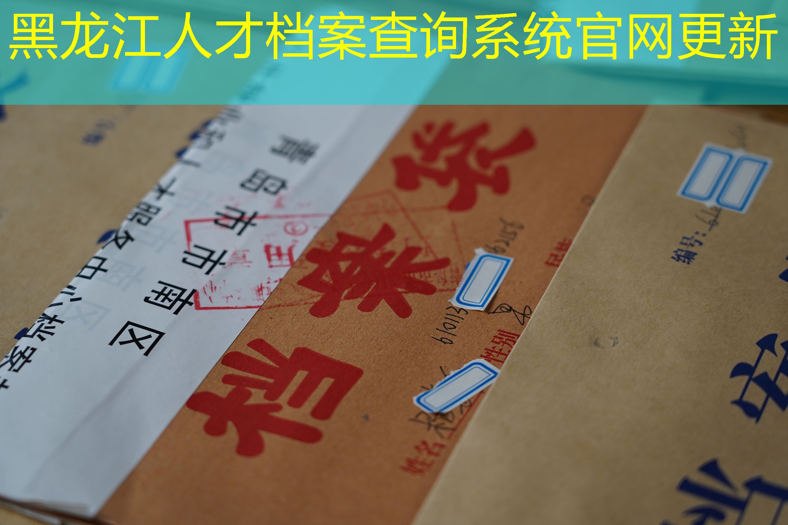 档案查询