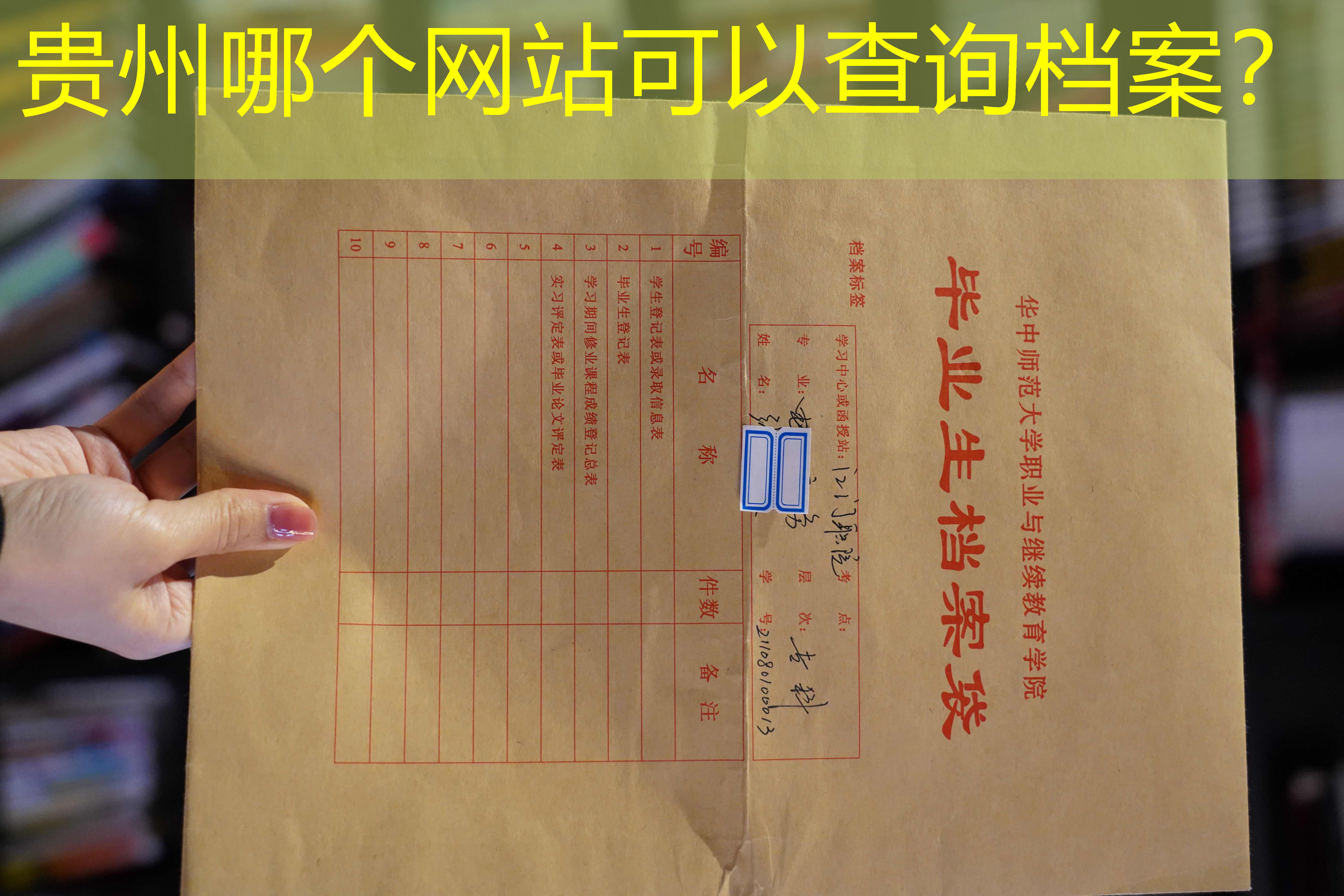 档案查询