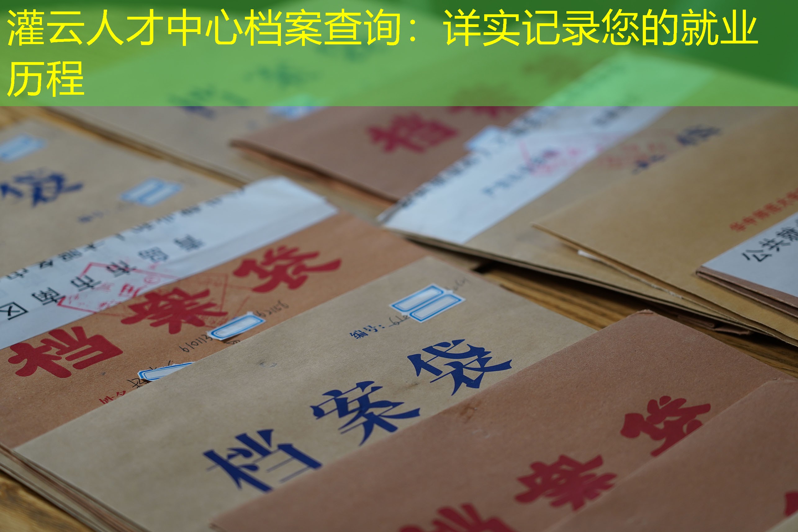 档案查询