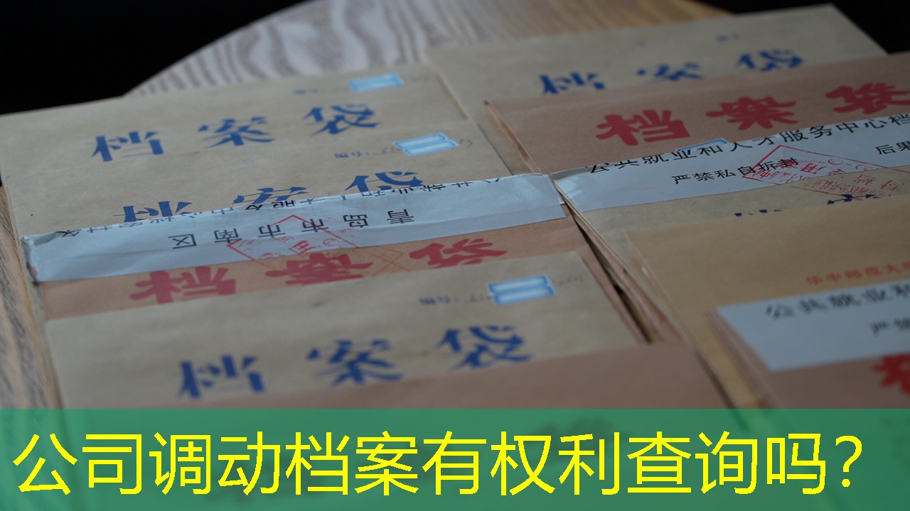 档案查询