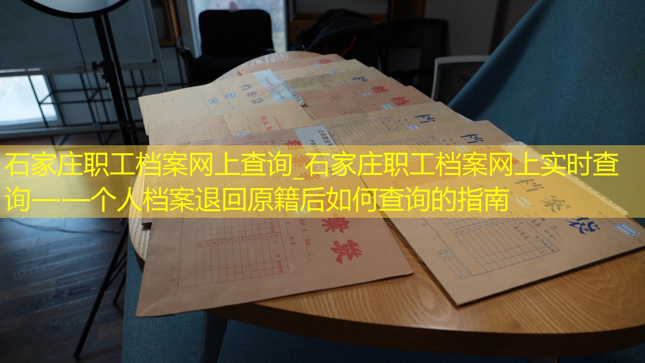 档案查询