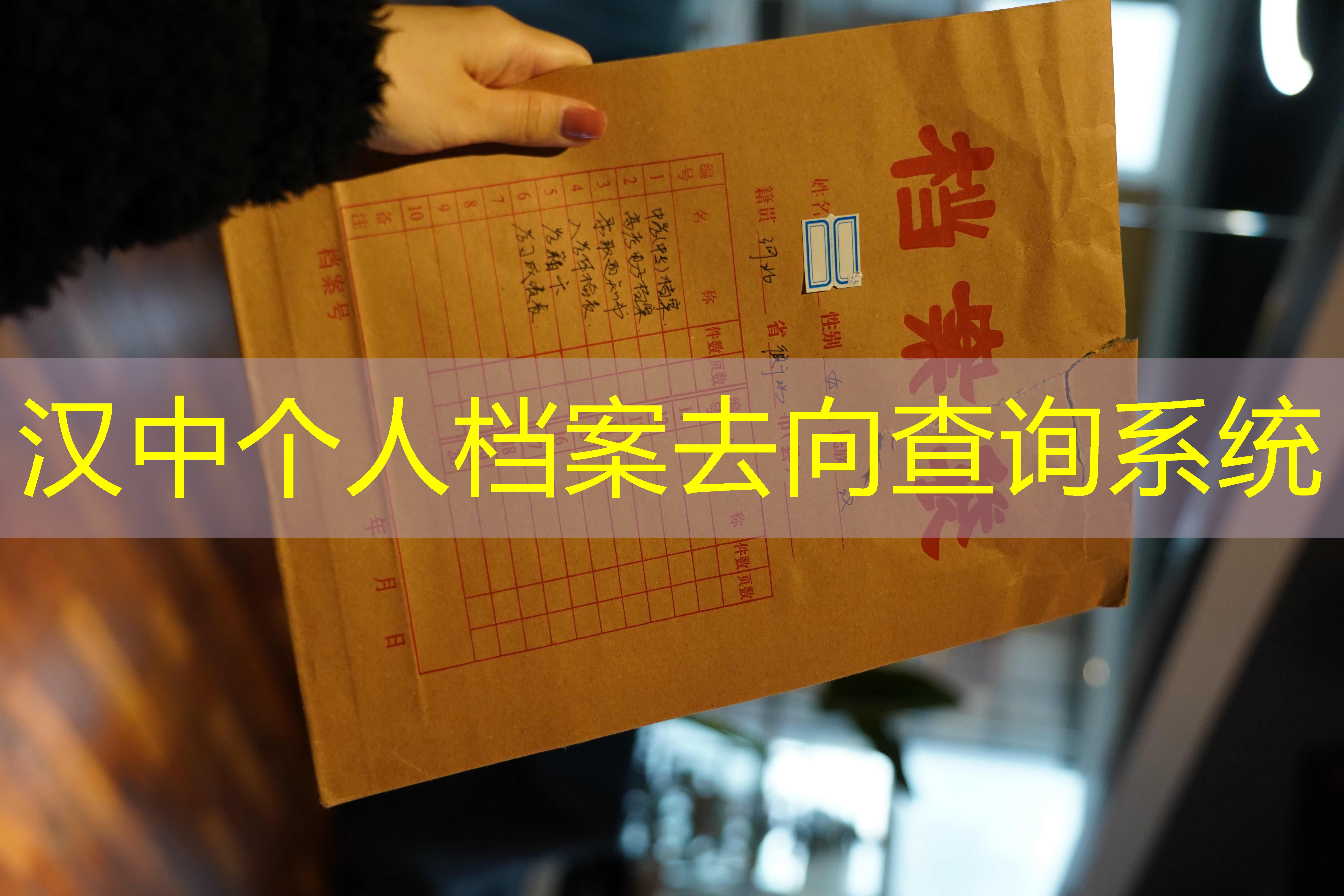 档案查询