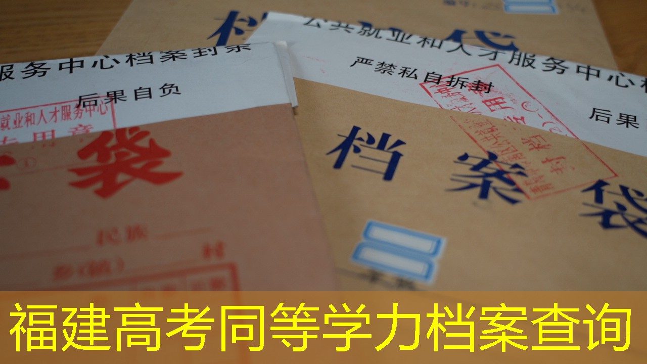 档案查询