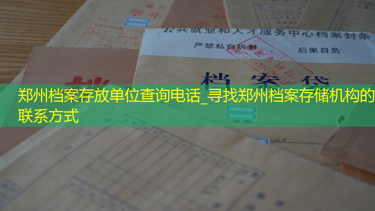 档案查询
