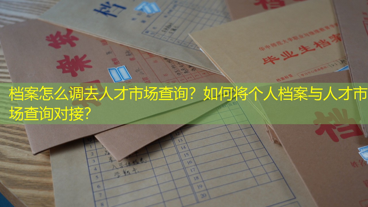 档案查询