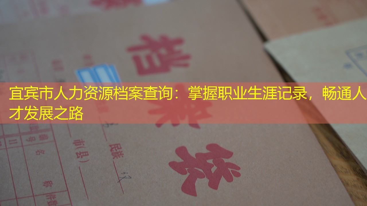 档案查询