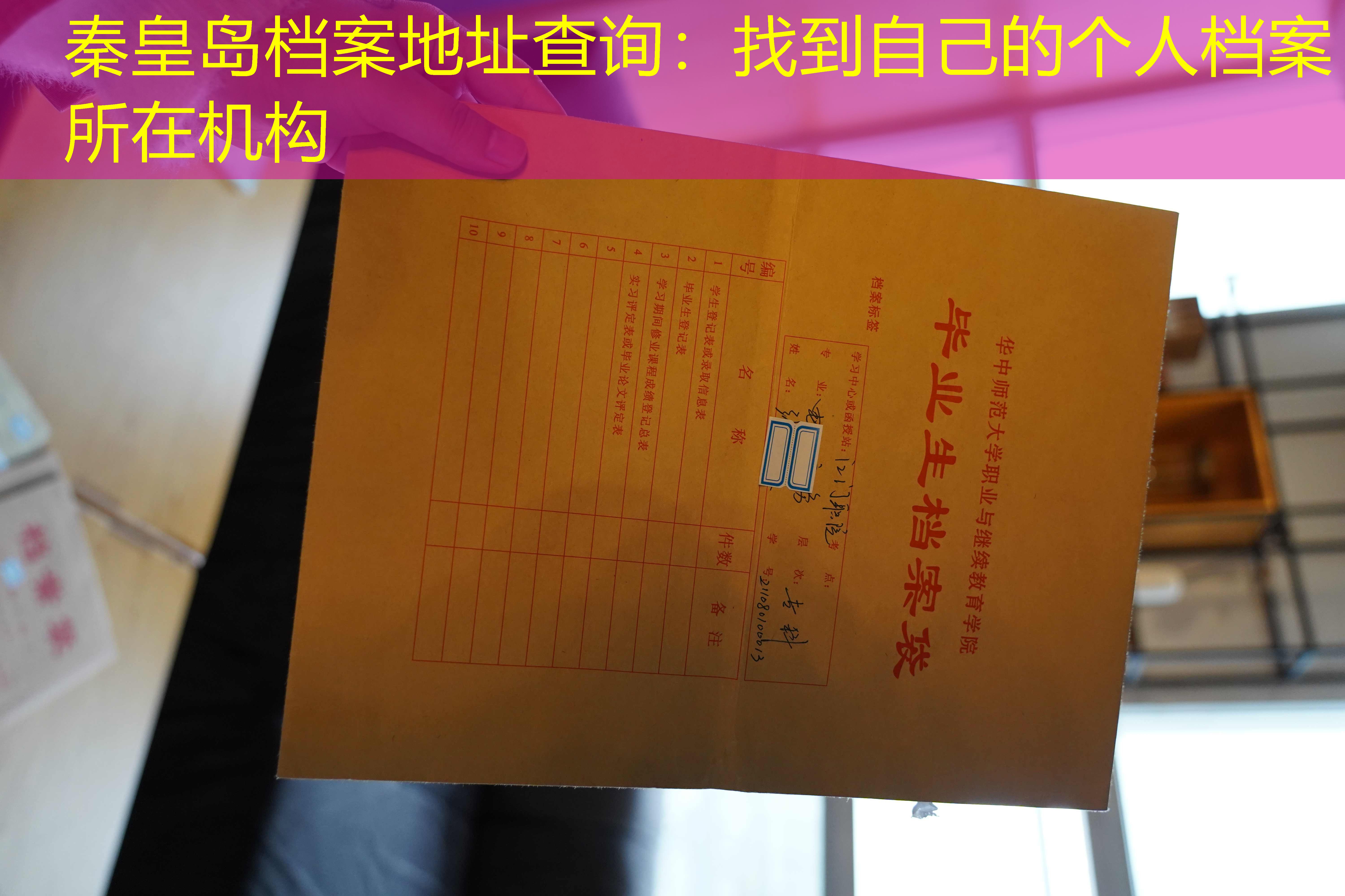 档案查询