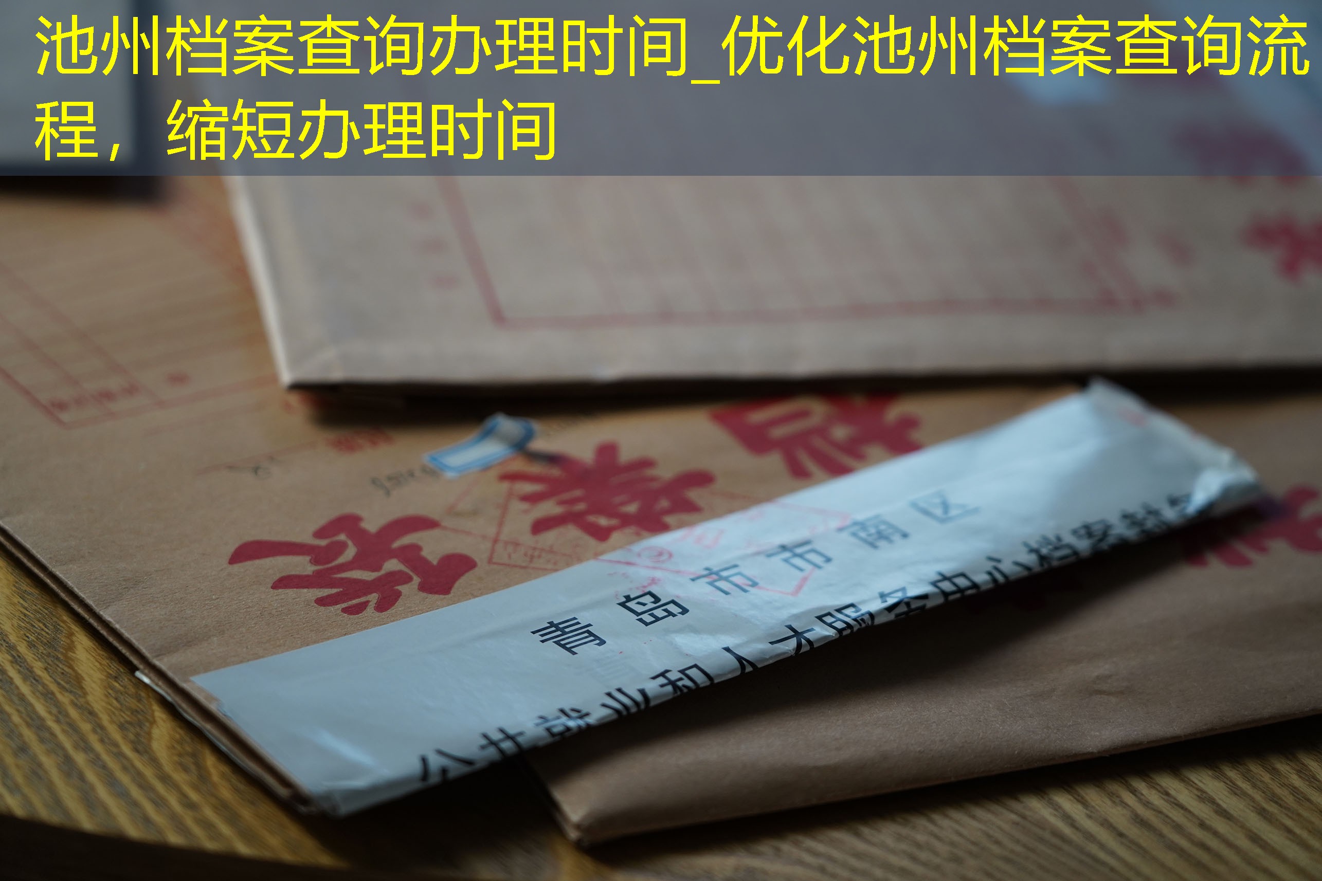 档案查询