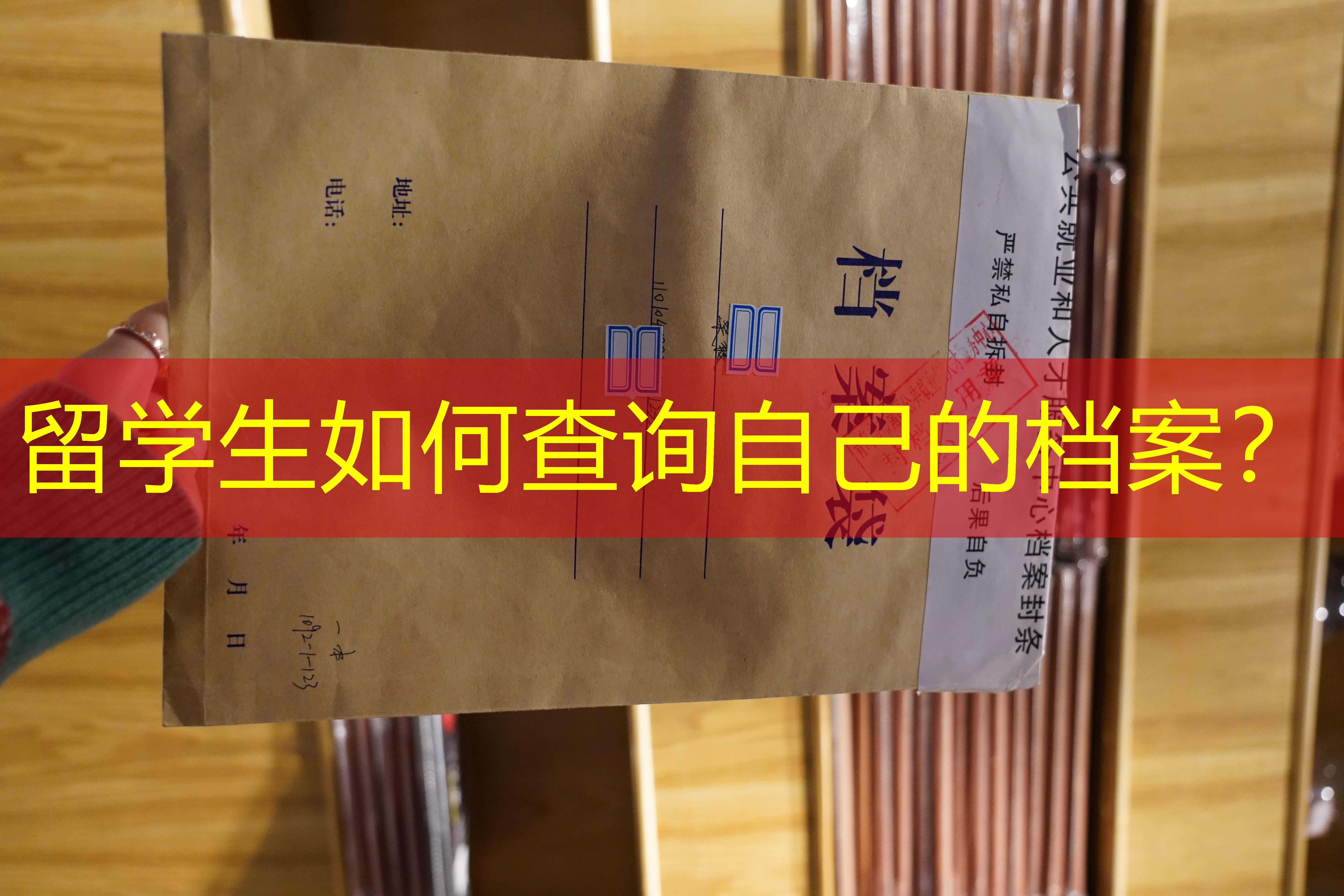 档案查询