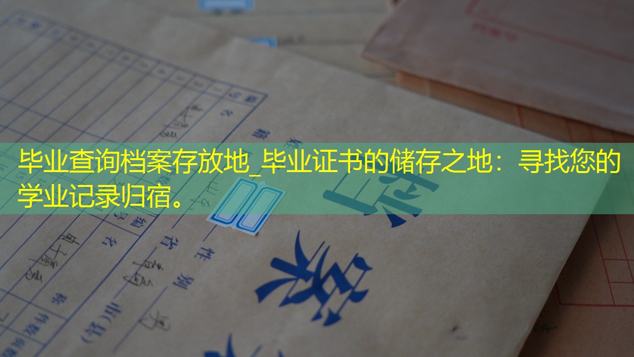 档案查询