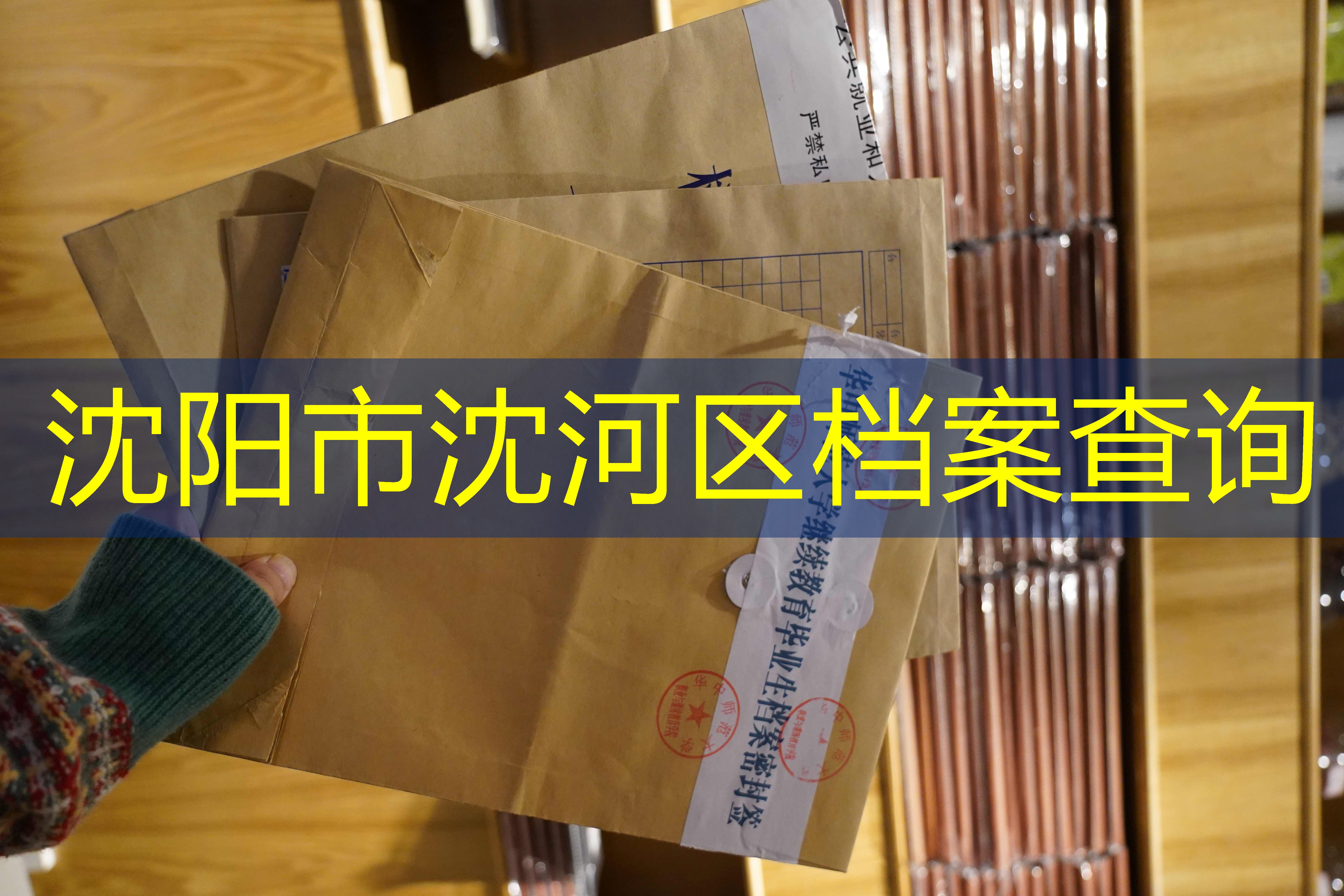 档案查询